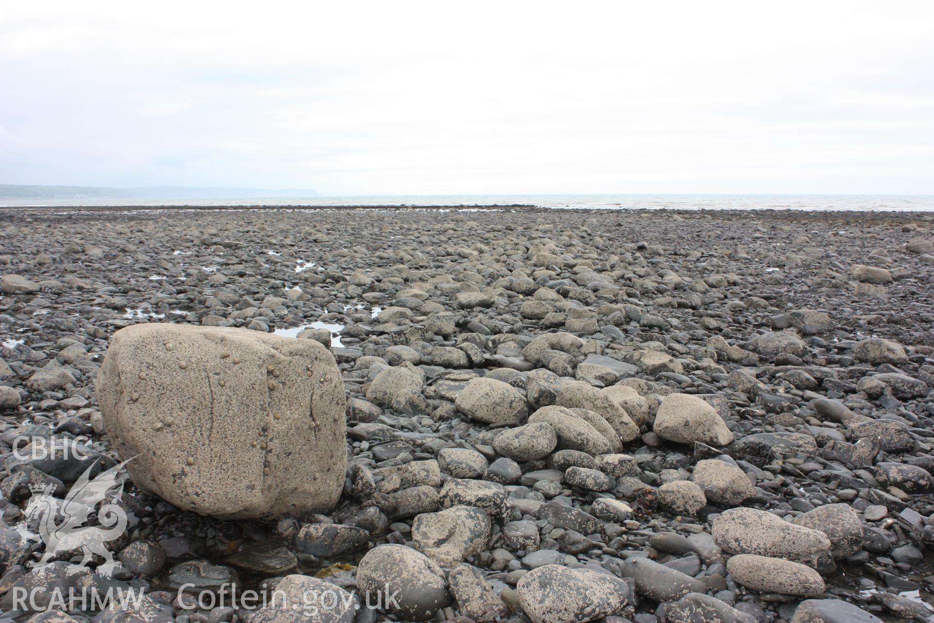 Northern section of fish trap arm, looking southwest. Shows scattered larger barnacle covered boulders which appear to represent remains of dry stone wall comprising arm.