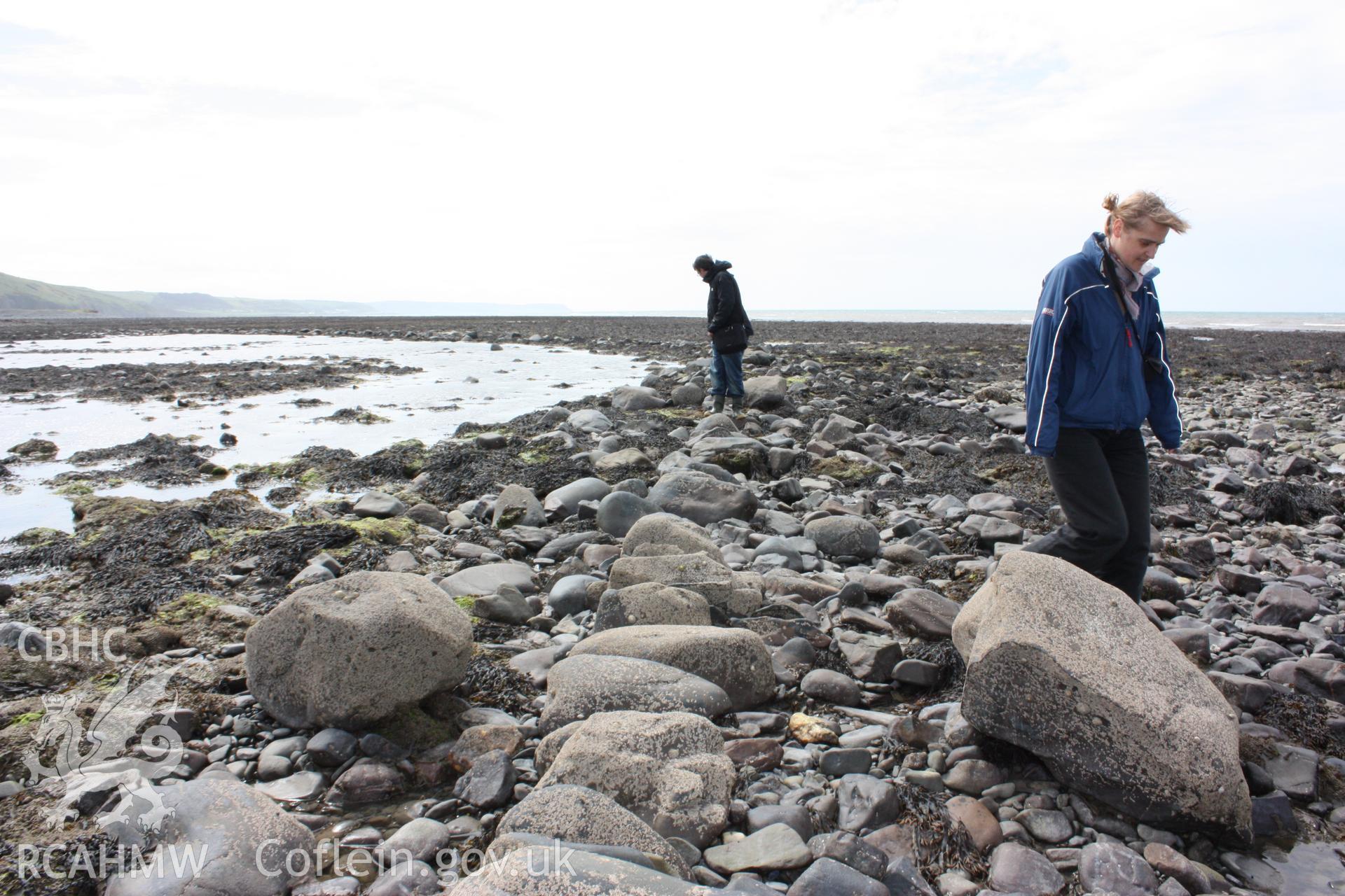 Boulder alignment at northern section of fish trap arm, looking south. Member of RCAHMW staff standing on stone wall shows scale and alignment. Shows pool of water still retained by arm of fish trap.