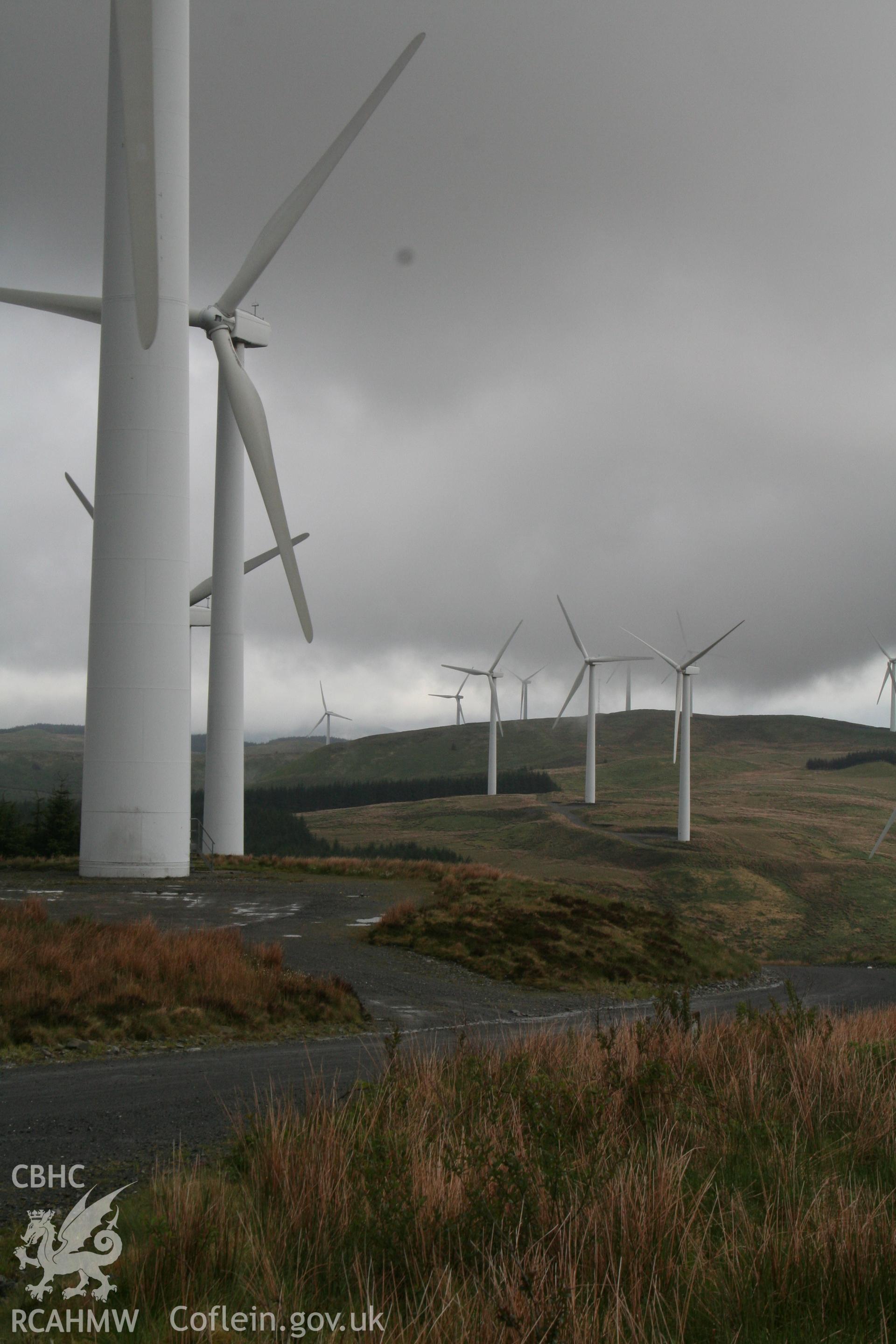 View to the north from forestry access road.