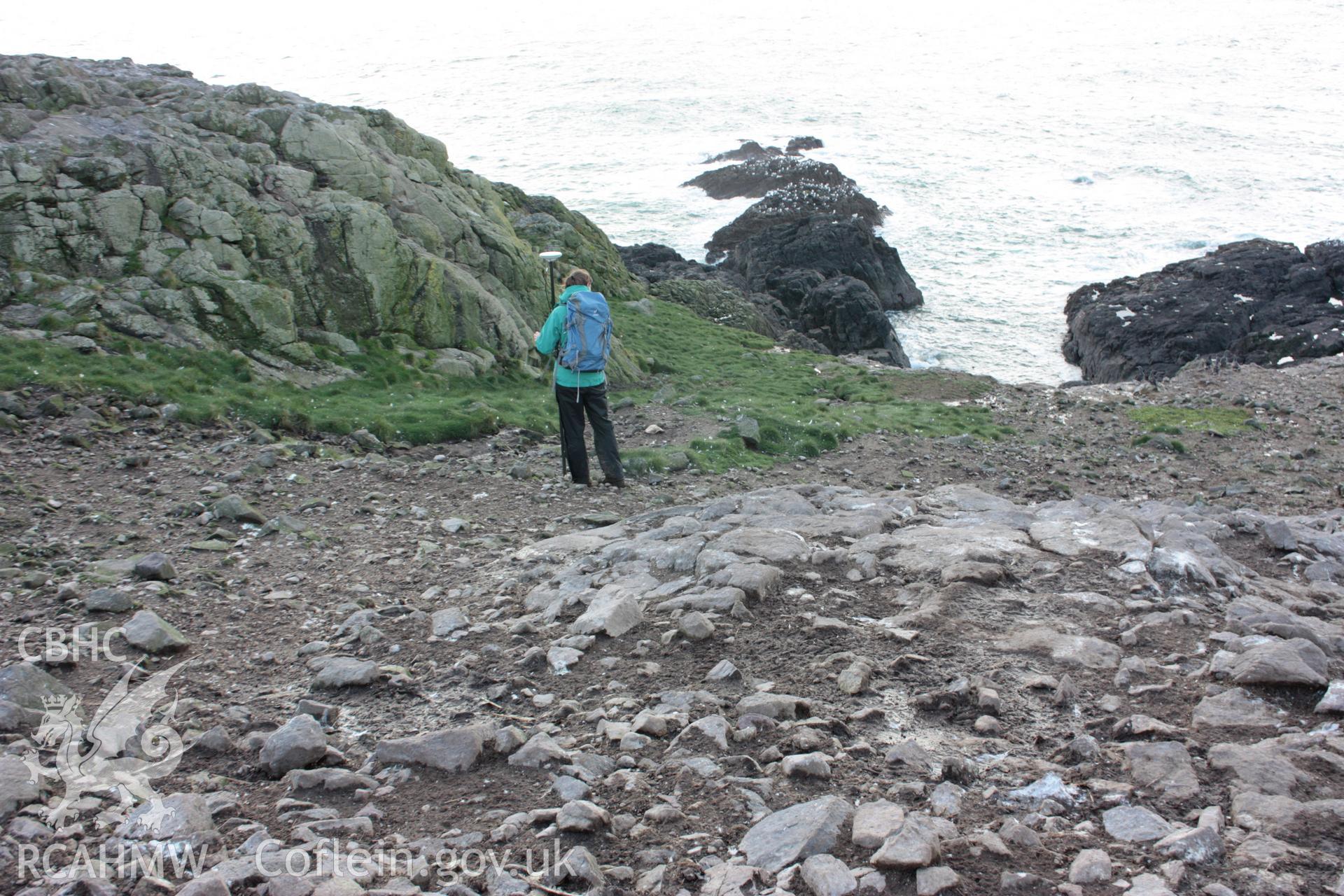 Terrace walls on sloping ground at the southern end of the central spine on Grassholm Island.