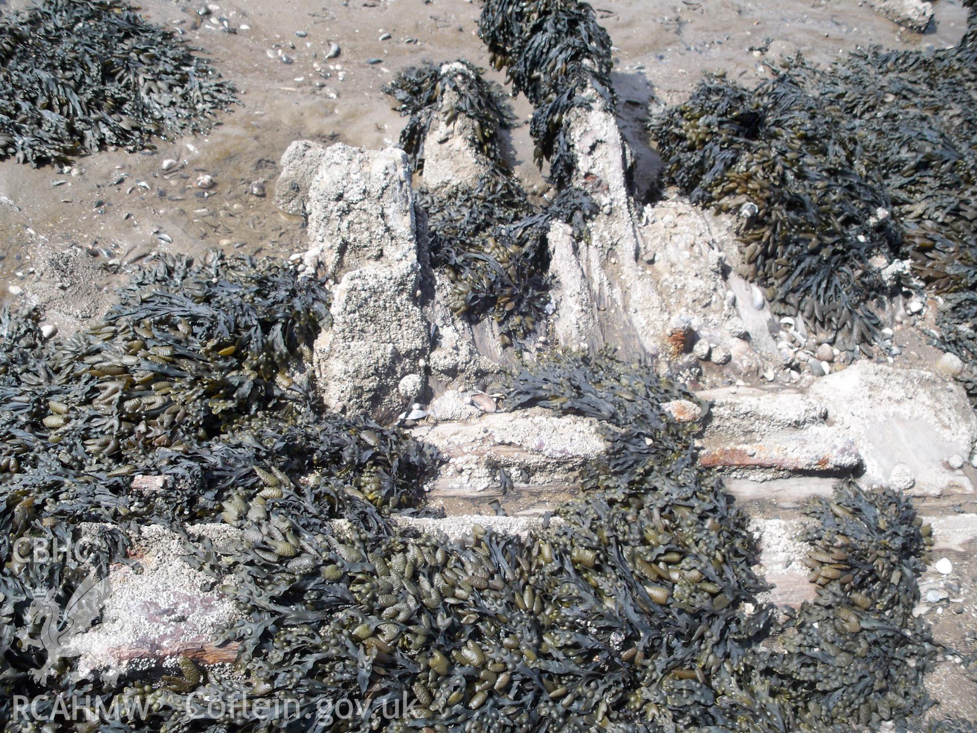 Wreck, looking east, close up of starboard lower frames and keelson showing the construction.