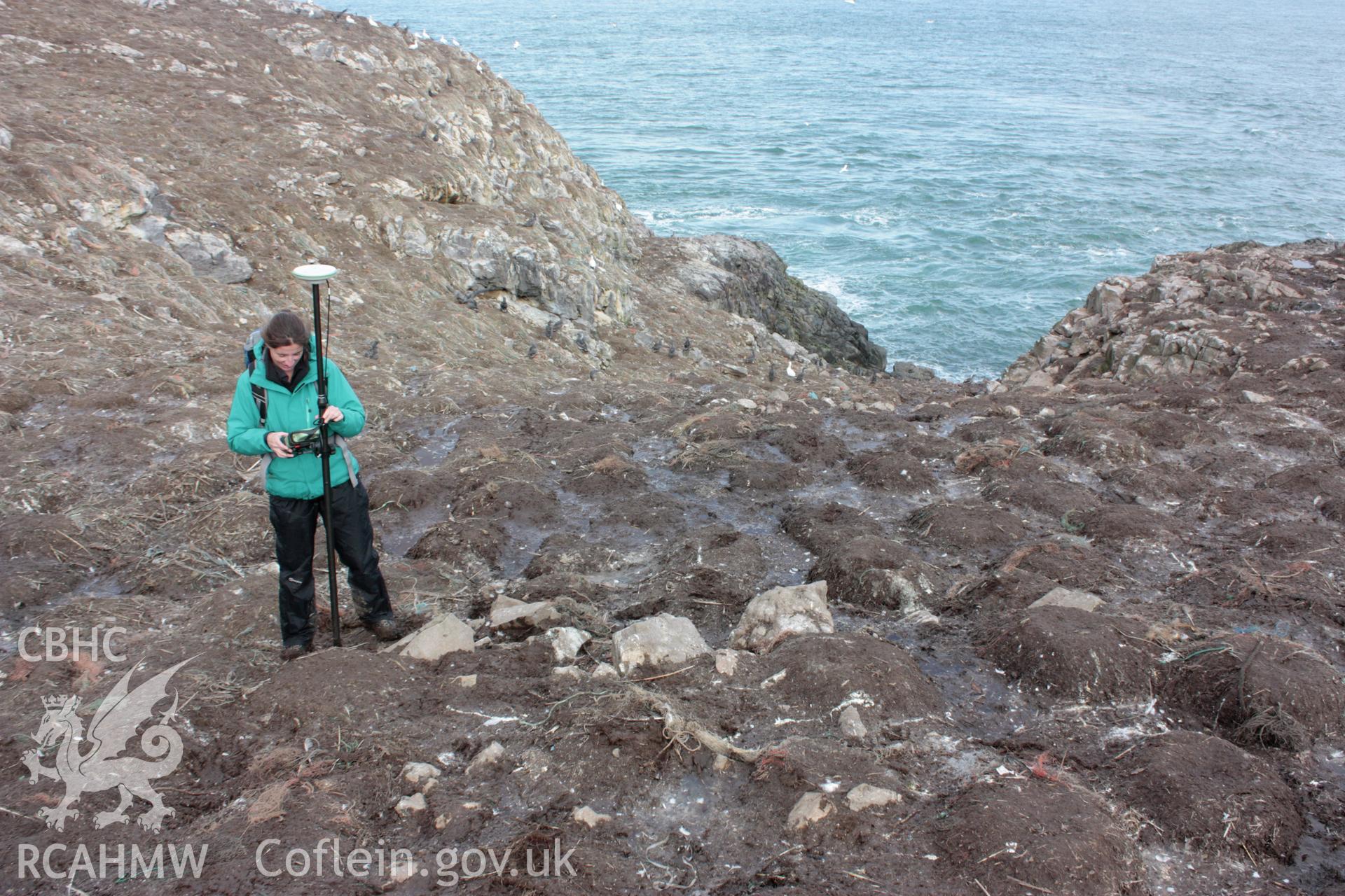 Terrace wall on sloping ground at the northern end of the central spine on Grassholm Island.