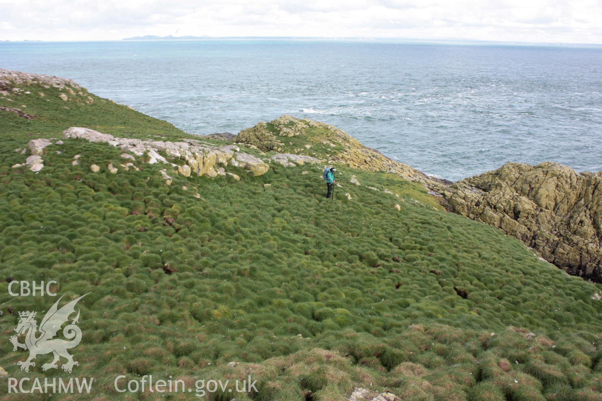 D-shaped enclosure abutting rock outcrop, looking North.