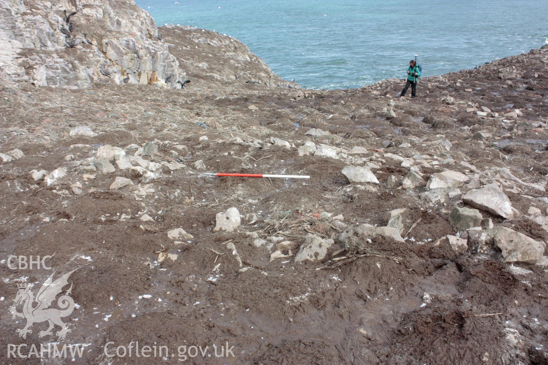 Roundhouse 2 on Grassholm Island, looking north.