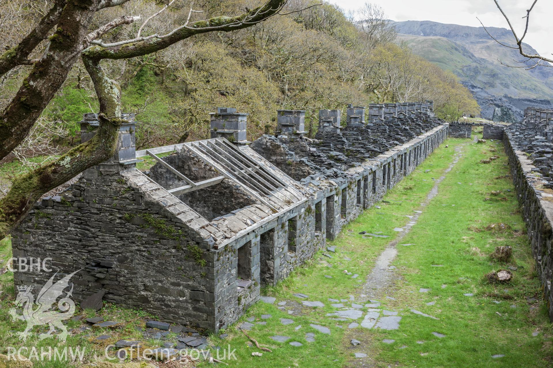 North row, viewed from the northwest