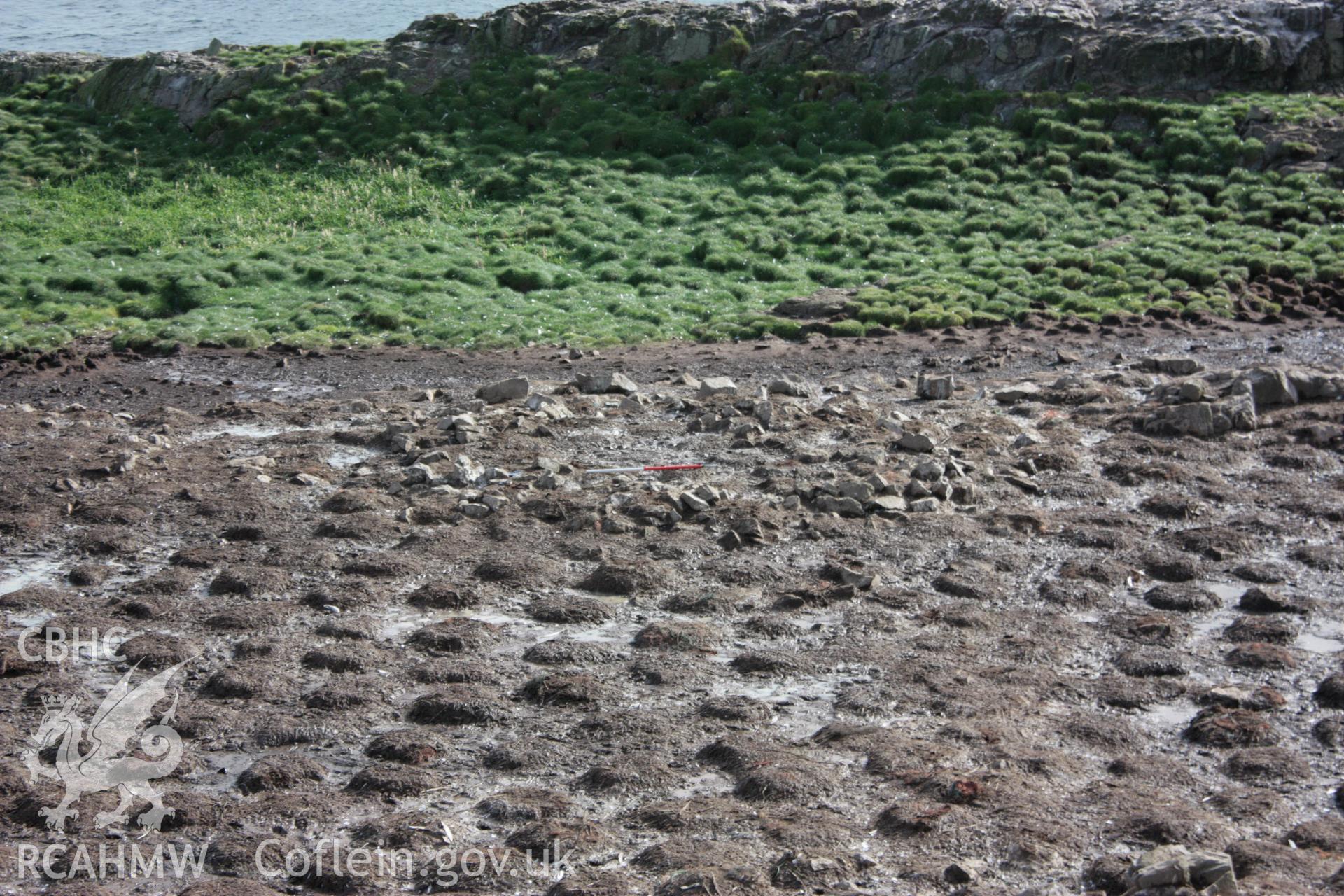 Roundhouse 1, Grassholm Island, looking south-east.