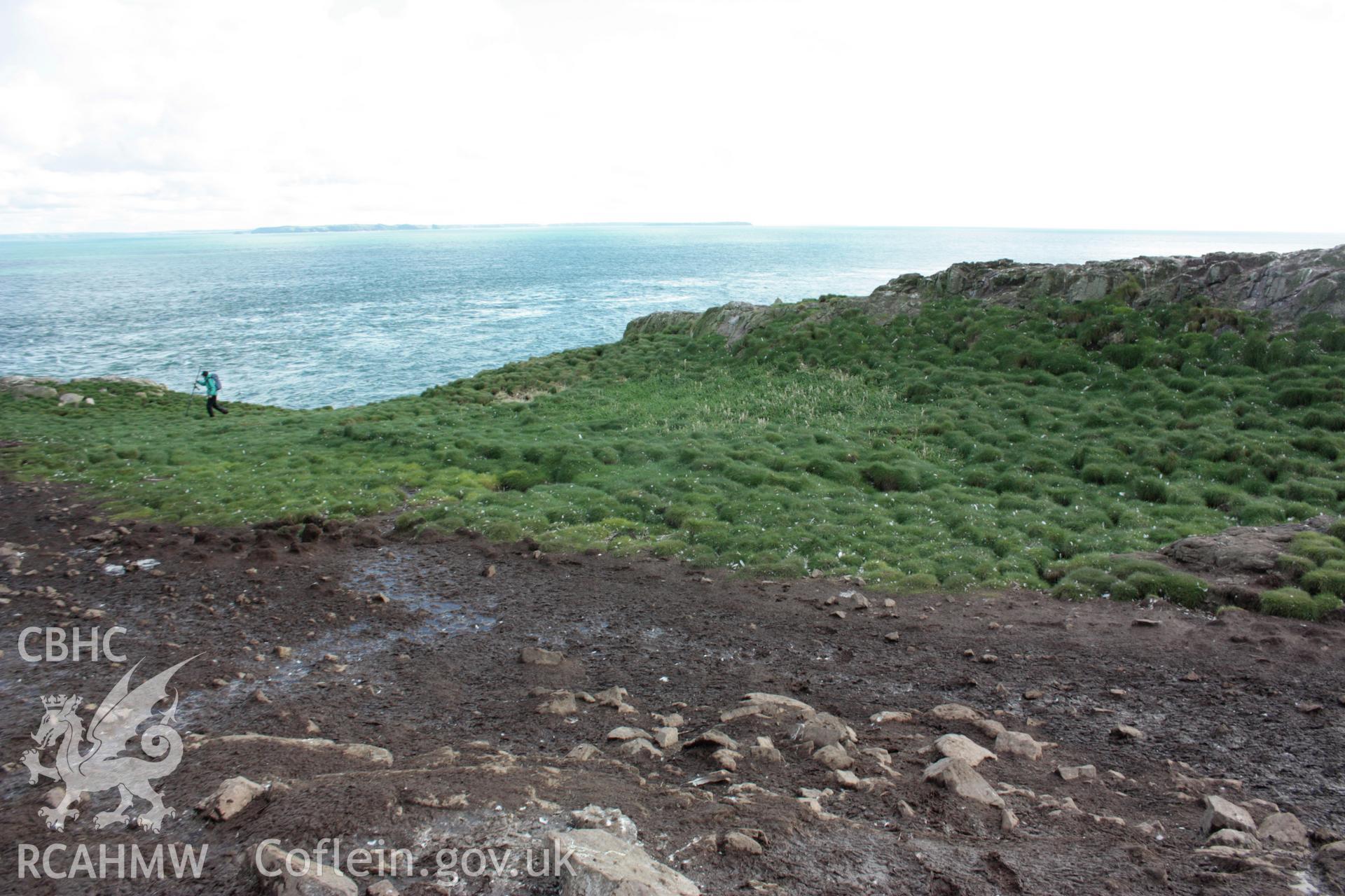 Conjoined rectangular structures on Grassholm Island, looking north-east.