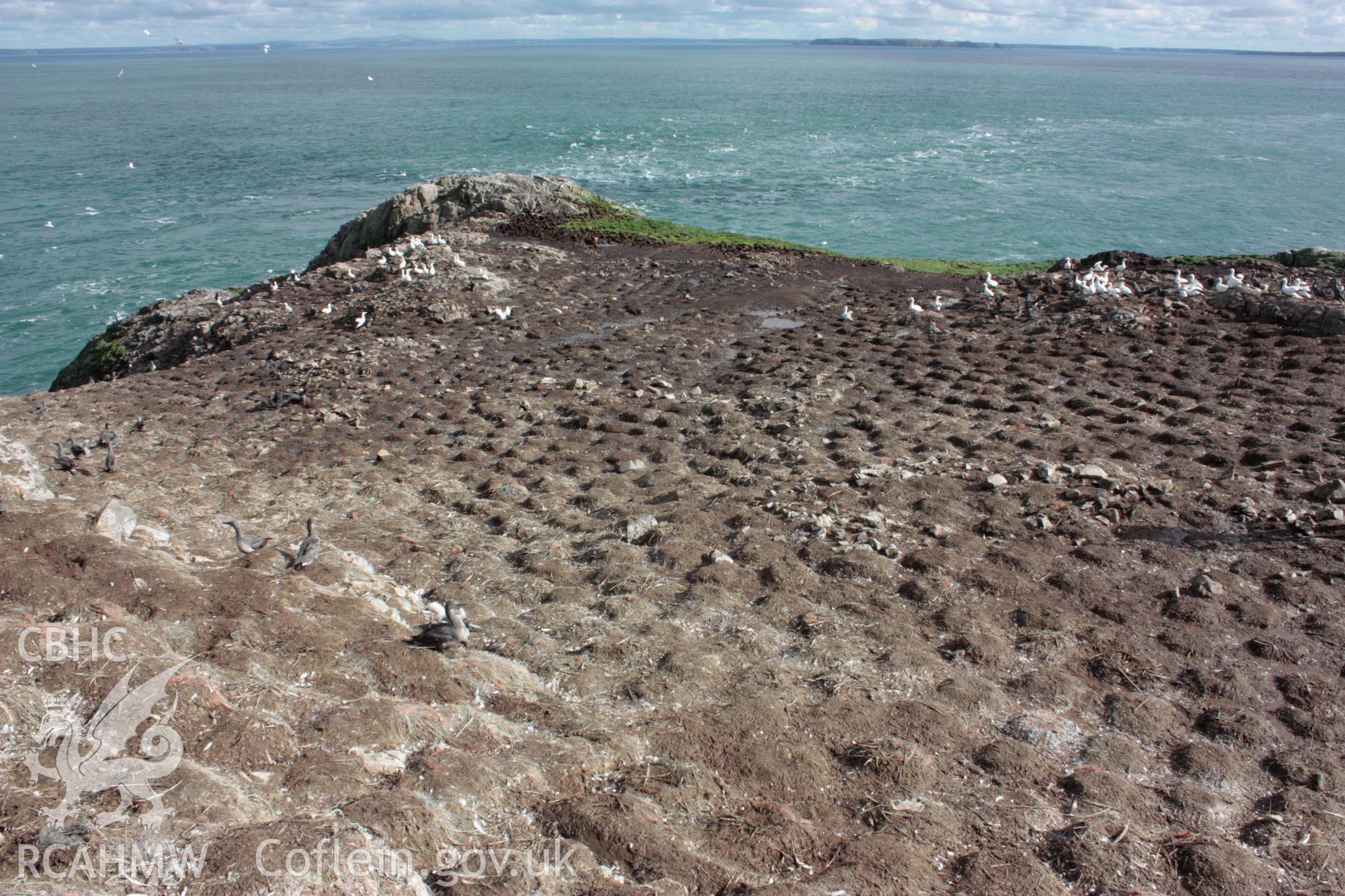 Roundhouse 2 (centre-right) on Grassholm Island, looking north-east.