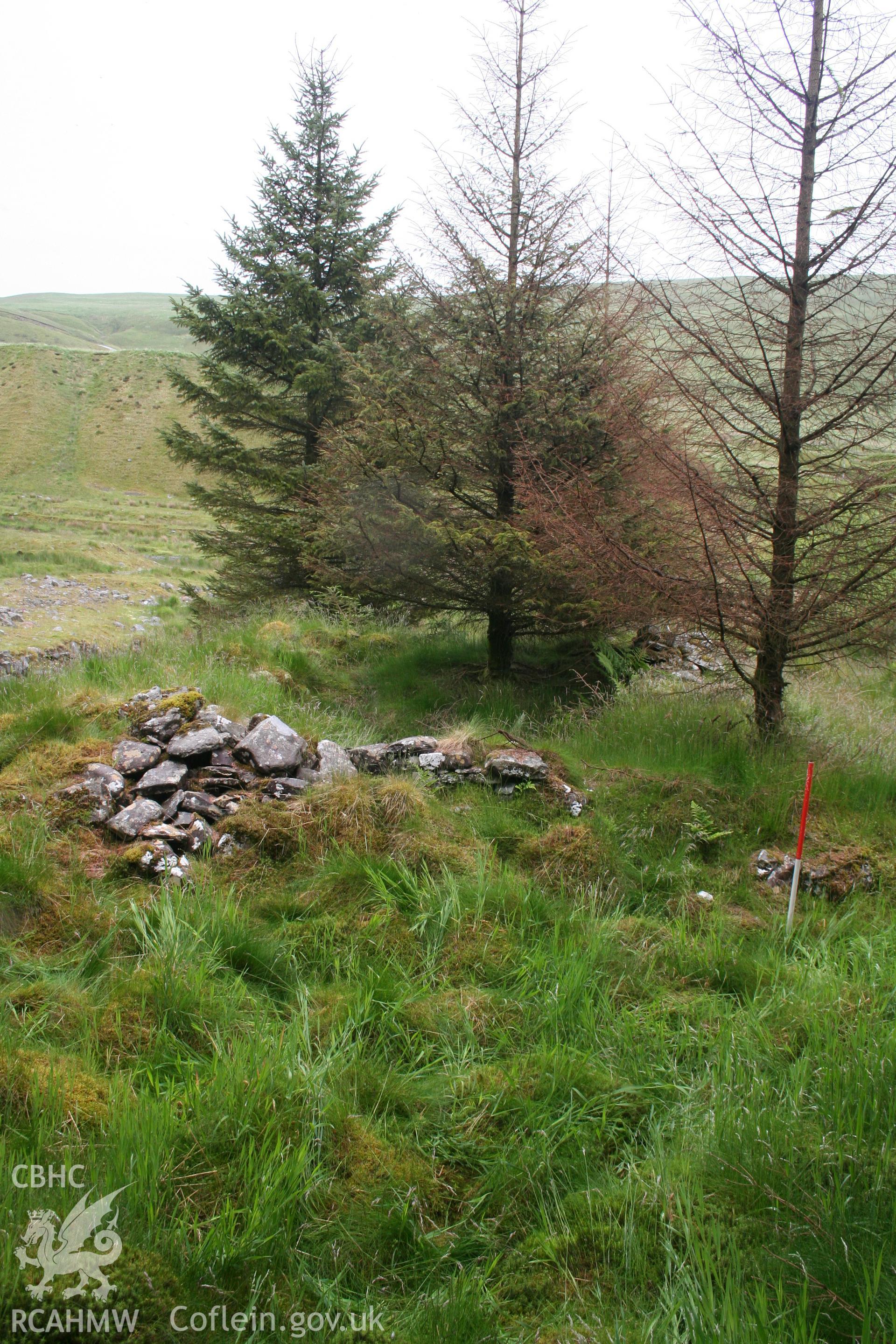 View of ruins from the north; 1m scale.