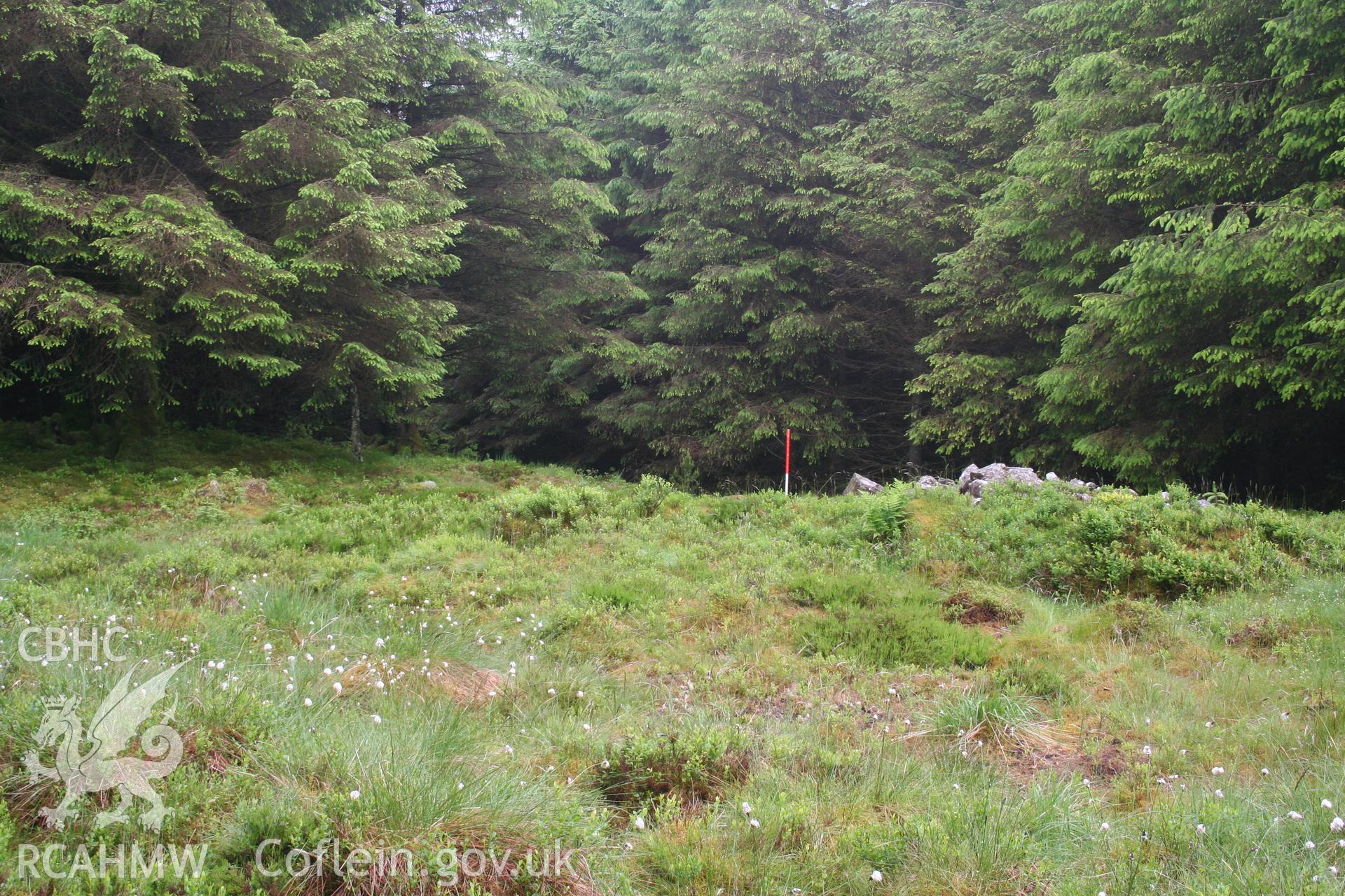 Cairn viewed from the east; building out of picture to the right.