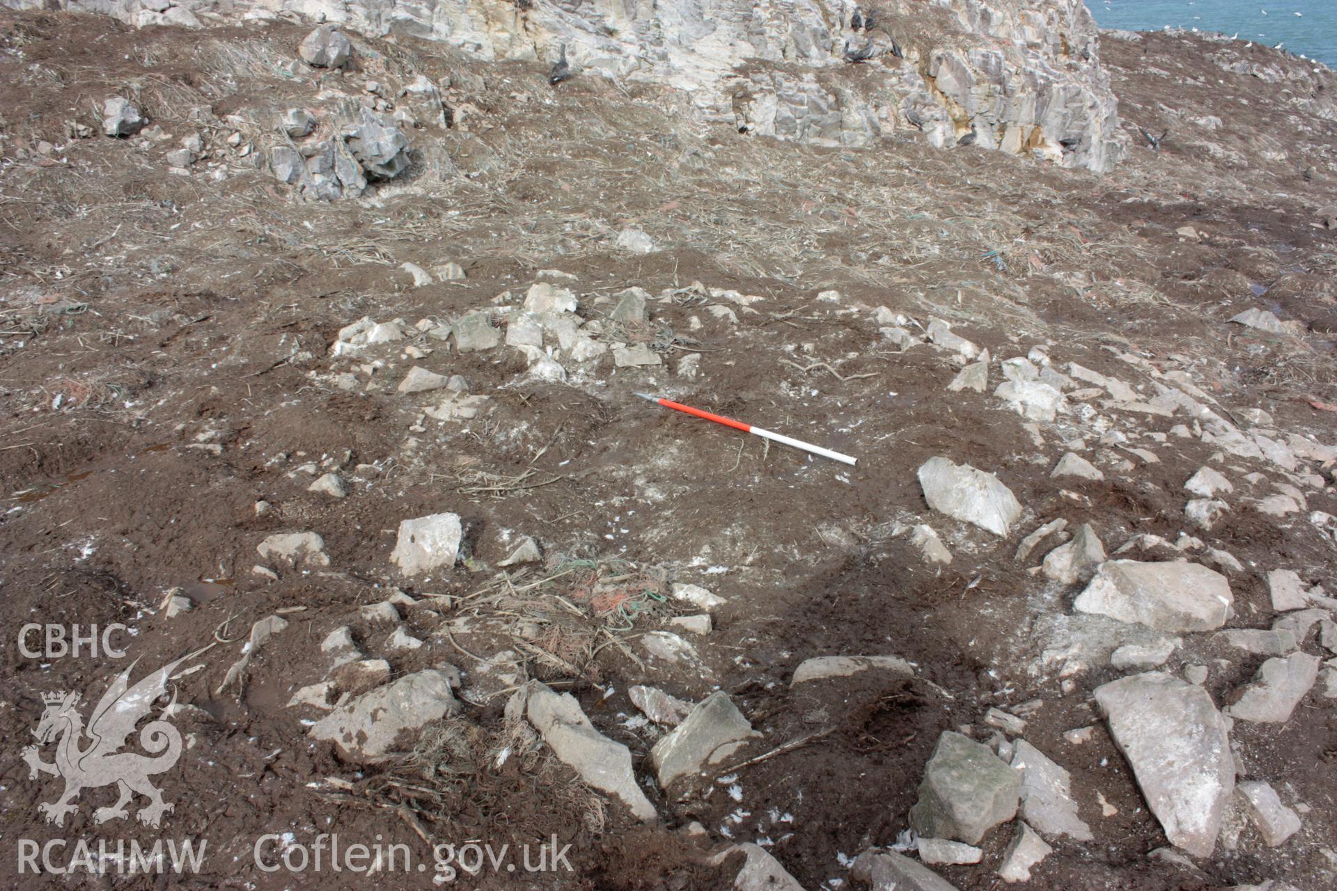 Roundhouse 2 on Grassholm Island, looking north-west.