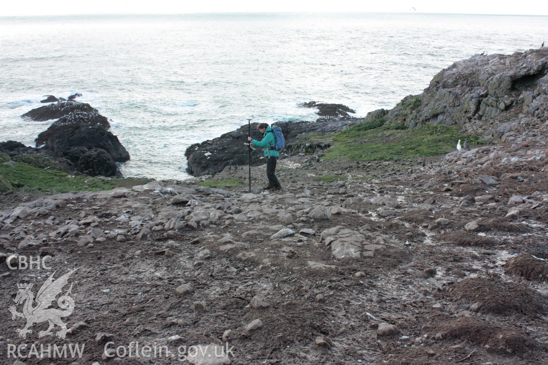 Terrace walls on sloping ground at the southern end of the central spine on Grassholm Island.