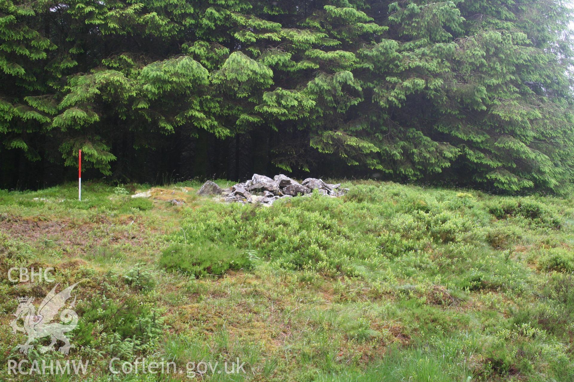 Cairn viewed from the south-east; 1m scale.