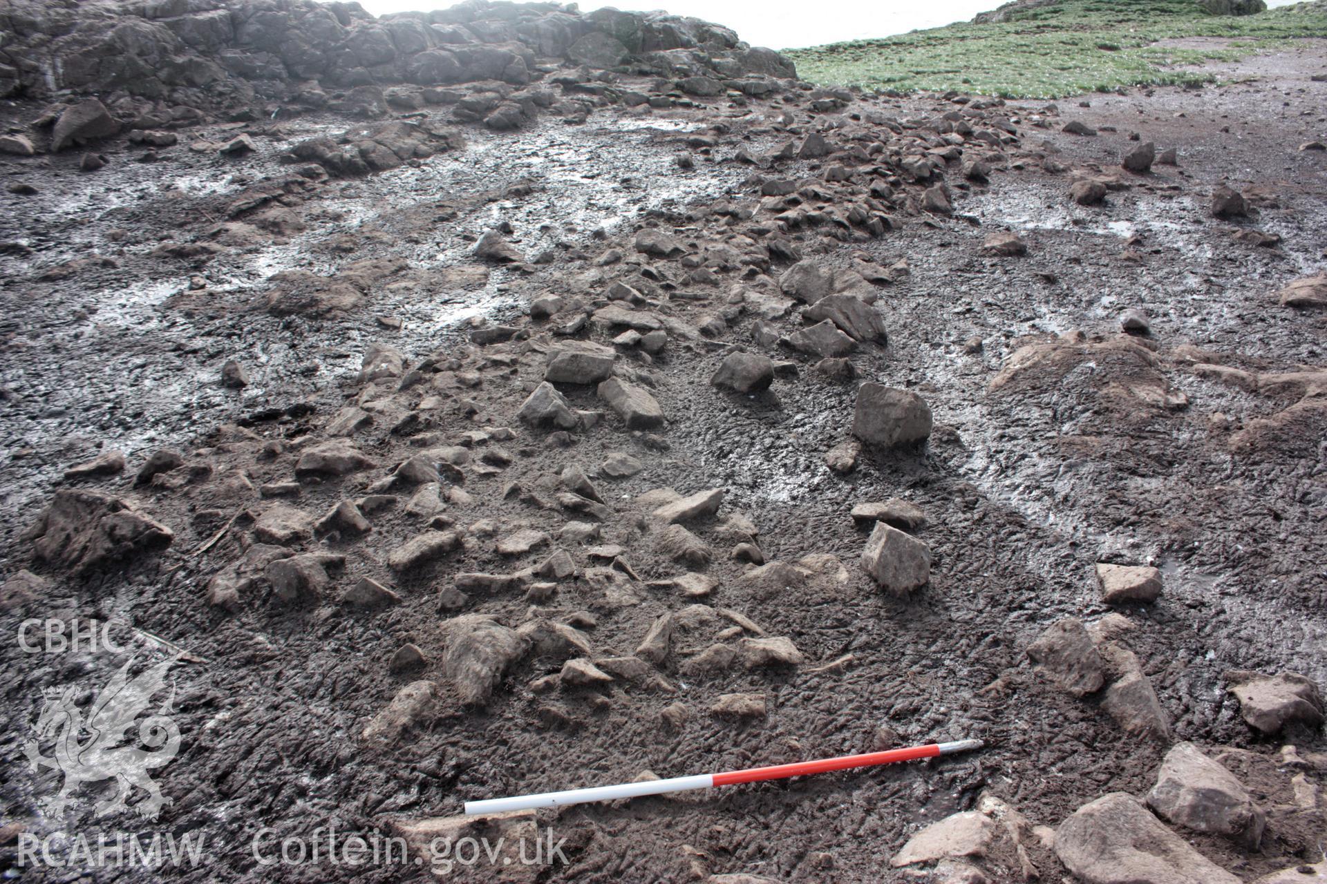 Detail of low field boundary wall that crosses the central spine of Grassholm Island, looking south.