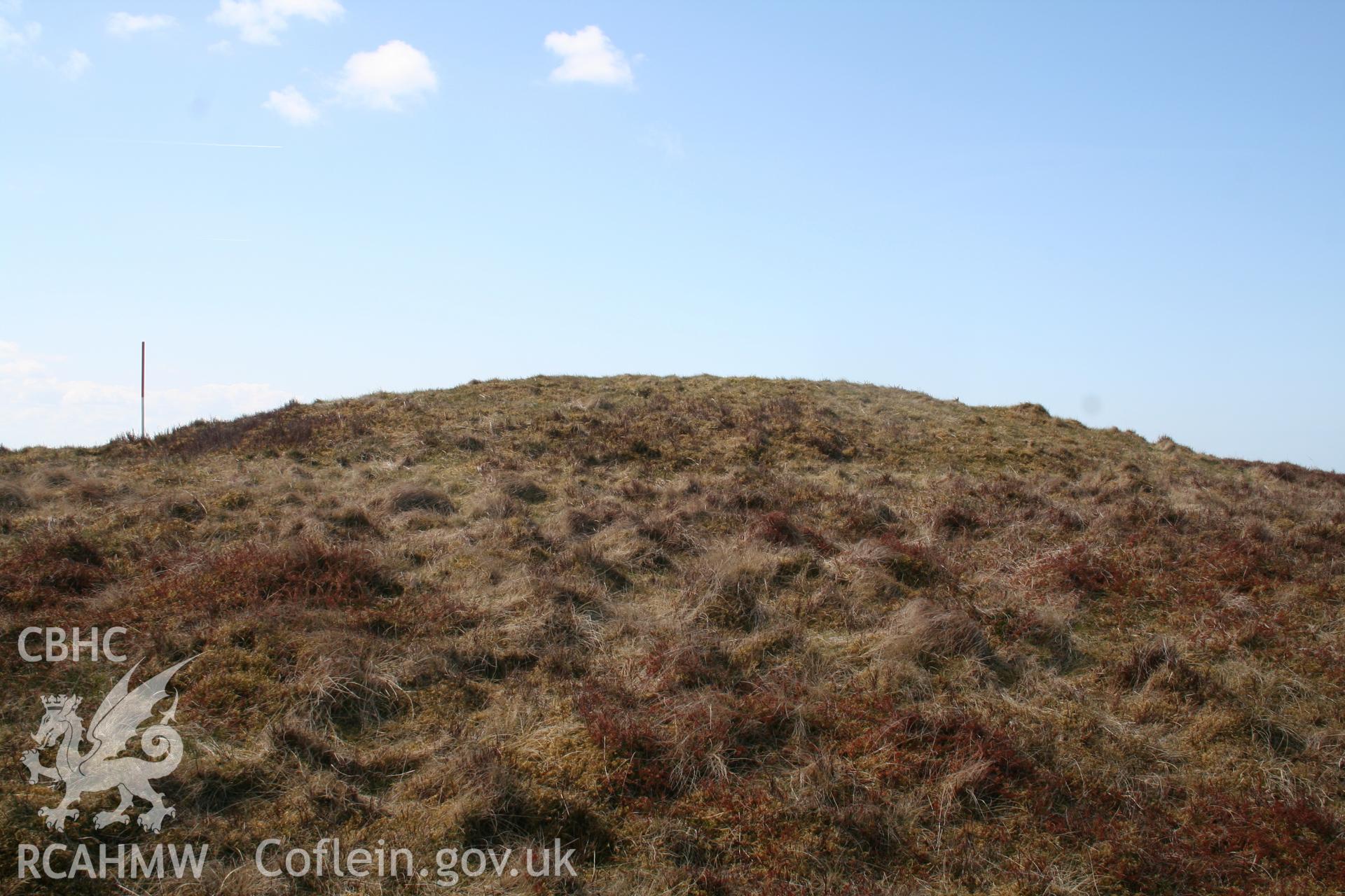 View from the north-east; 1m scale.