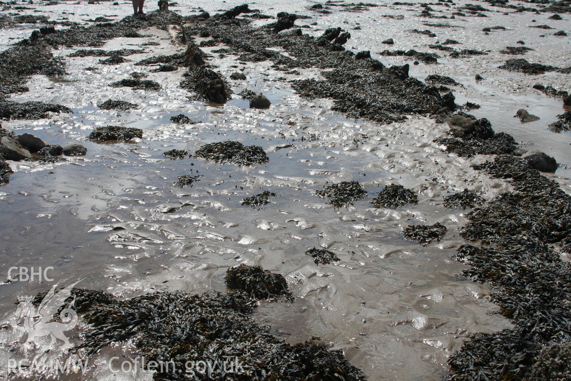 Wreck, looking west, stern towards the bow. Remains of the keelson and starboard lower frames protruding from the sand.