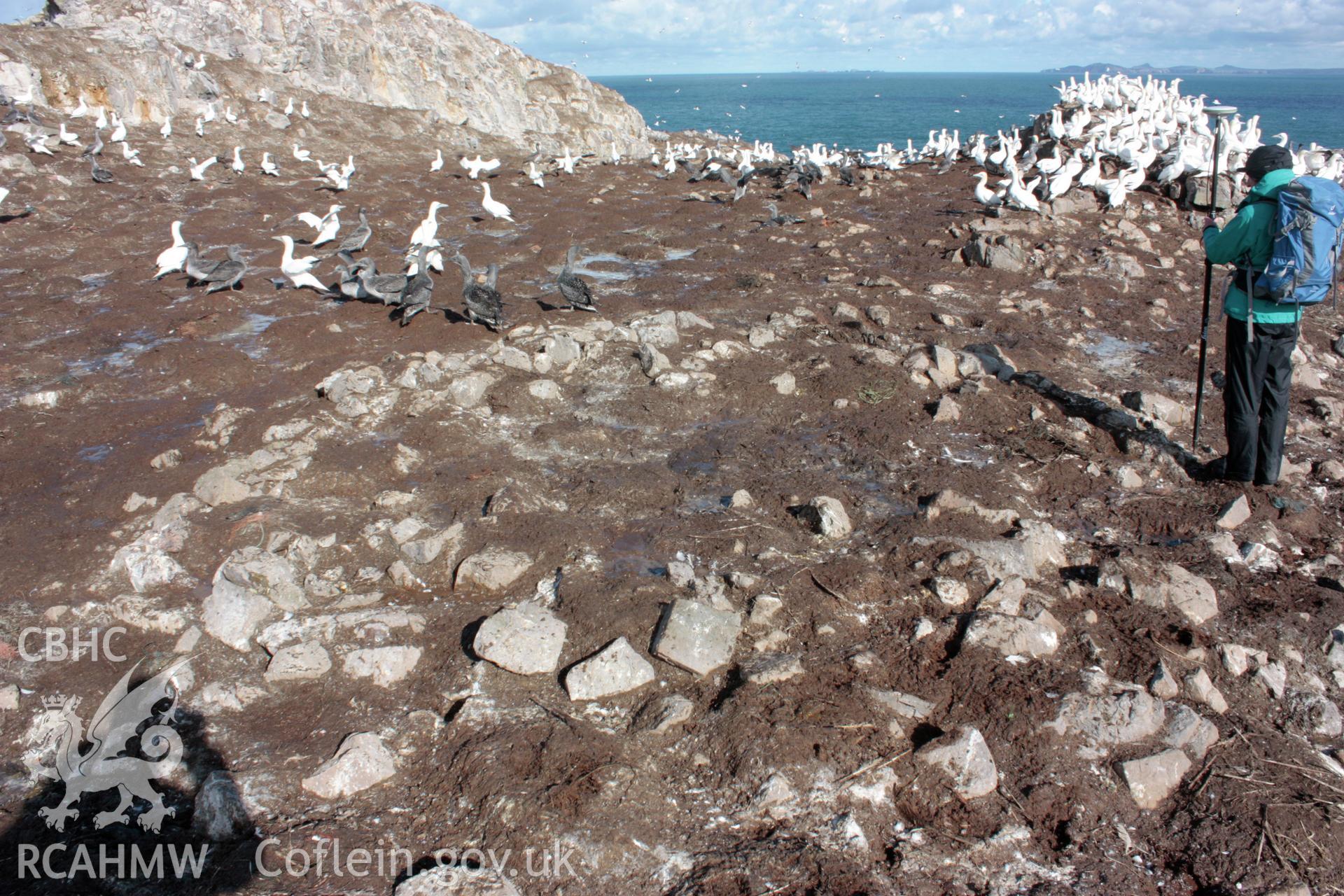 Roundhouse 1, Grassholm Island, looking north.