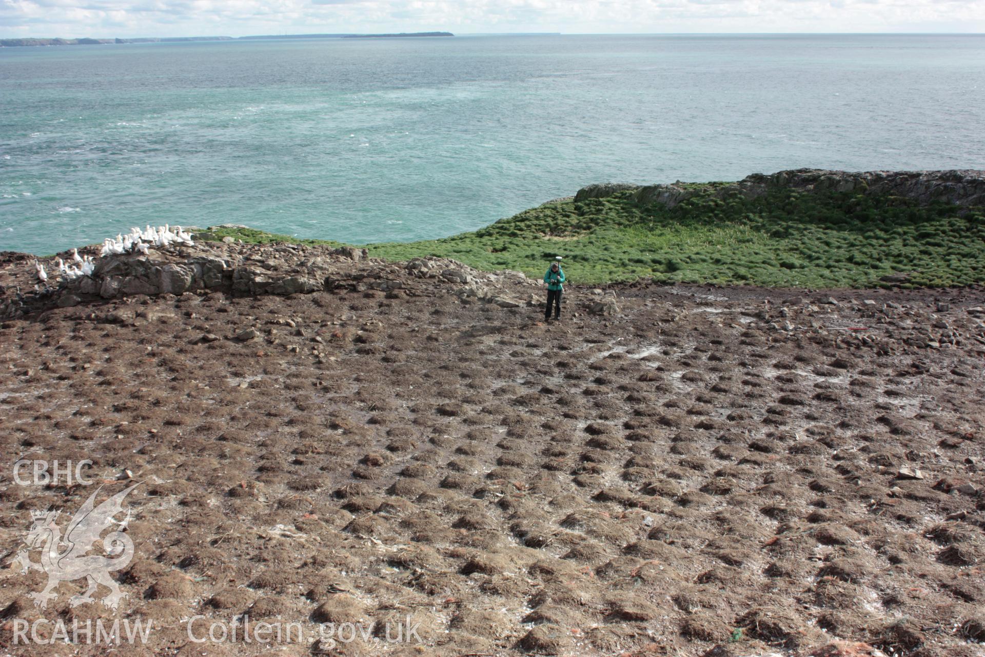 Roundhouse 1, Grassholm Island. General view, looking north-east, with the roundhouse on the right.