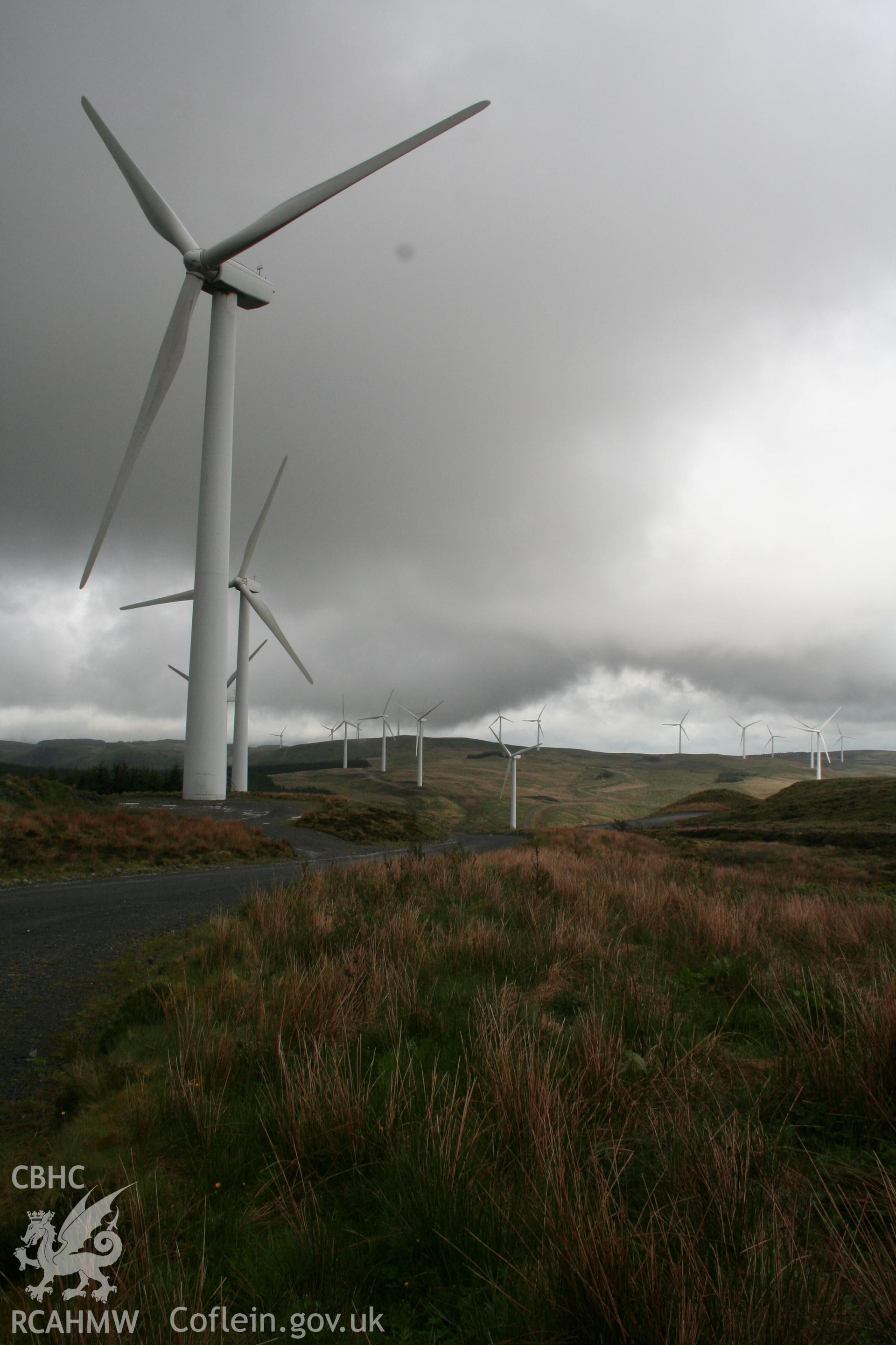 View to the north from forestry access road.