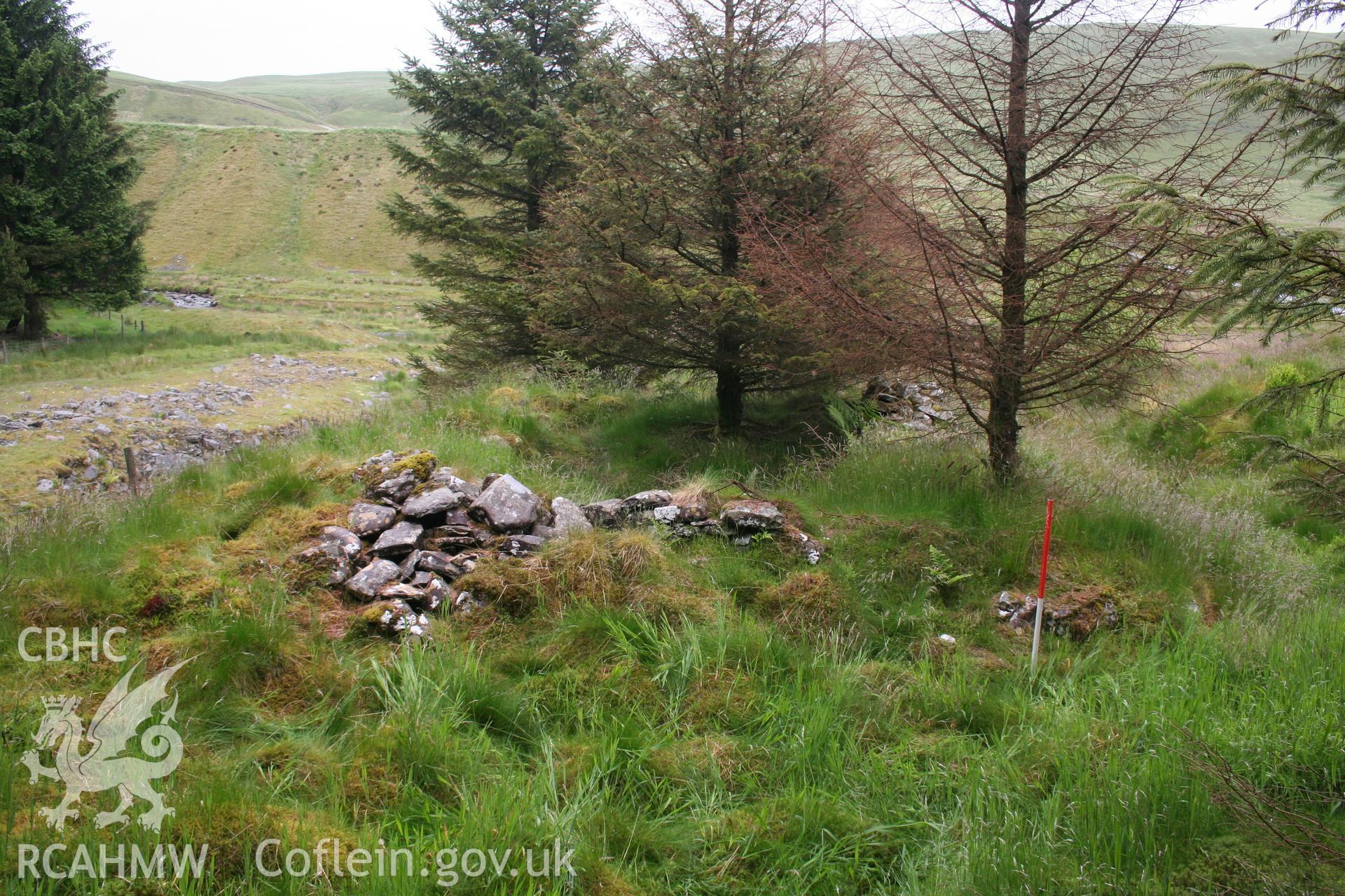 View of ruins from the north; 1m scale.