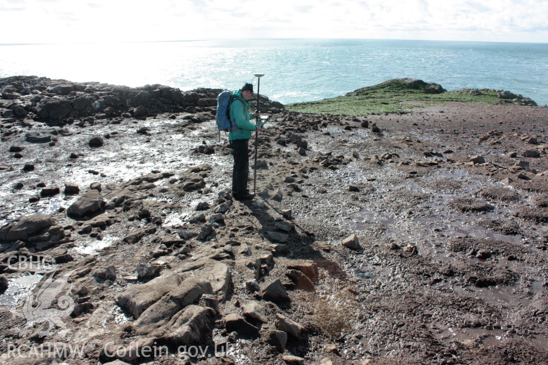 Field boundary wall crossing the central spine of Grassholm Island, looking south.