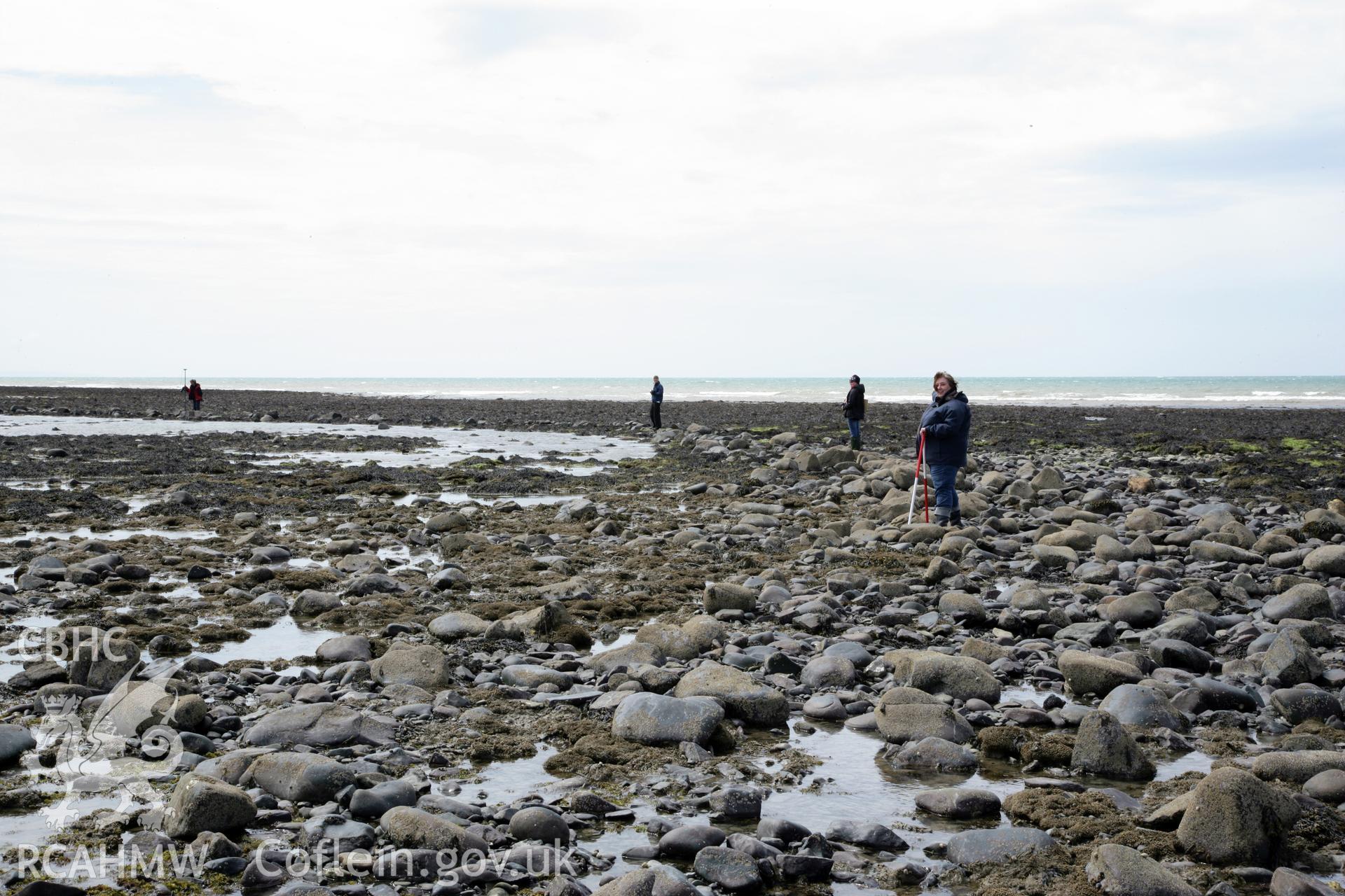 Northern end of fish trap, looking south west. RCAHMW staff situated along stone wall to demonstrate shape and scale of fish trap.  Shows pool of water still retained by arm of fish trap in left background.