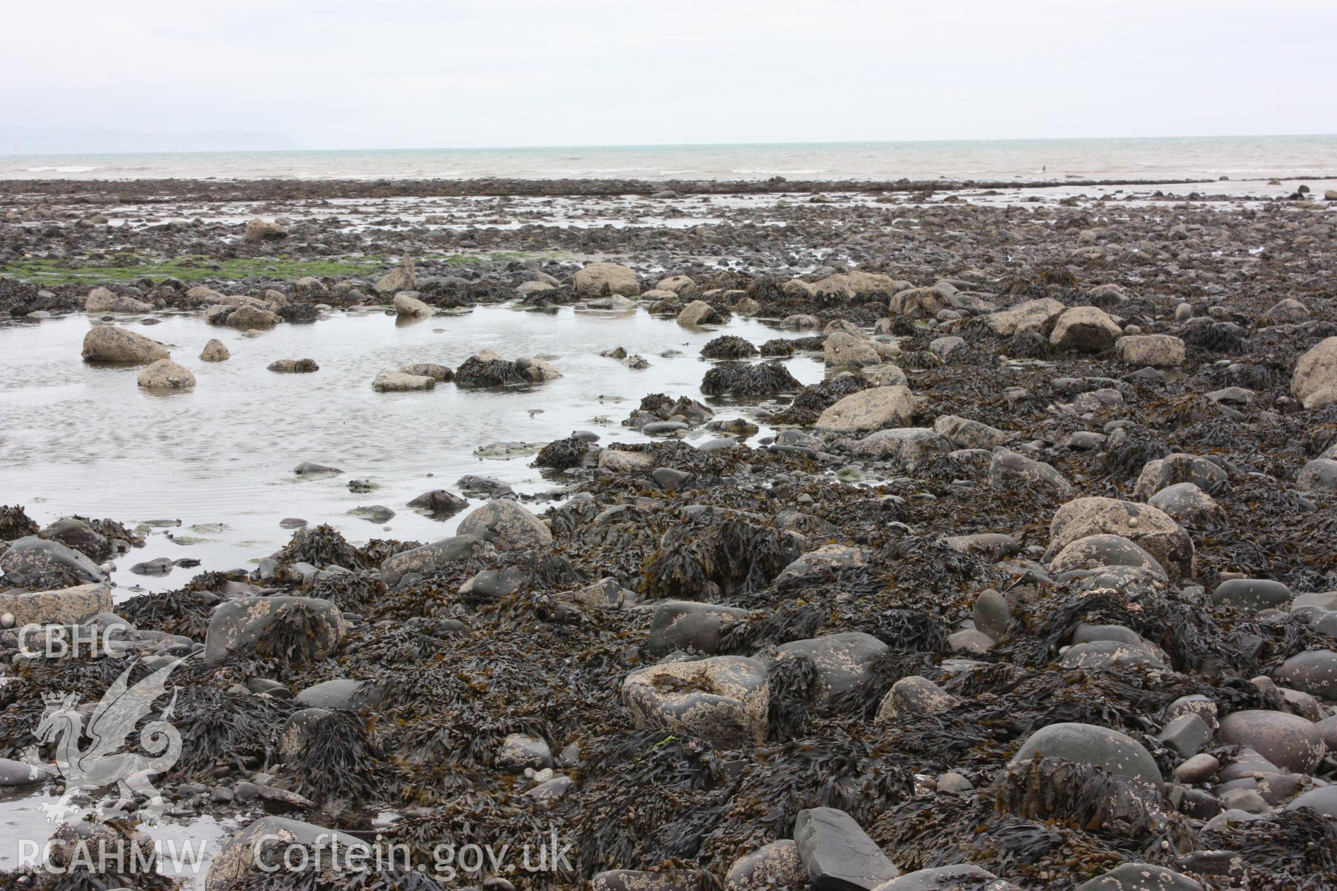 Southern section of fish trap arm, looking west. Shows curving alignment of boulders comprising dry stone wall: possibly a mixture of front and back faces.