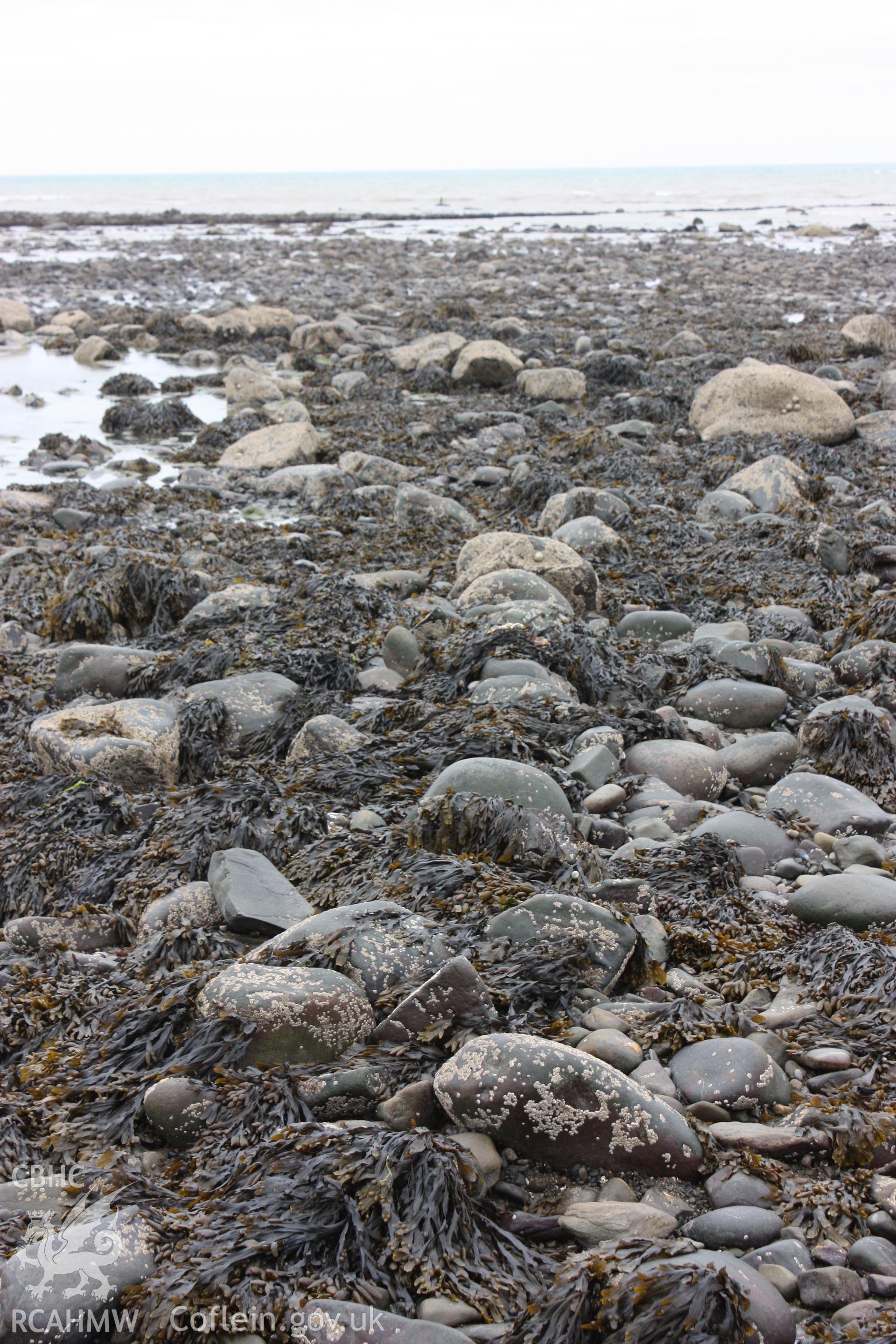 Southern section of fish trap arm, looking west. Shows curving alignment of boulders comprising dry stone wall- possibly a mixture of front and back faces. Shows pool of water still retained by arm of fish trap.