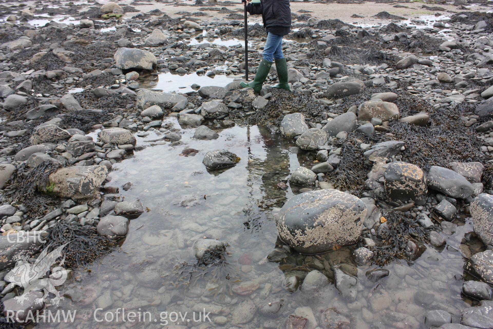 East or shoreward side looking west. Another diffuse alignment of stones, suggesting a break for a net sluice.