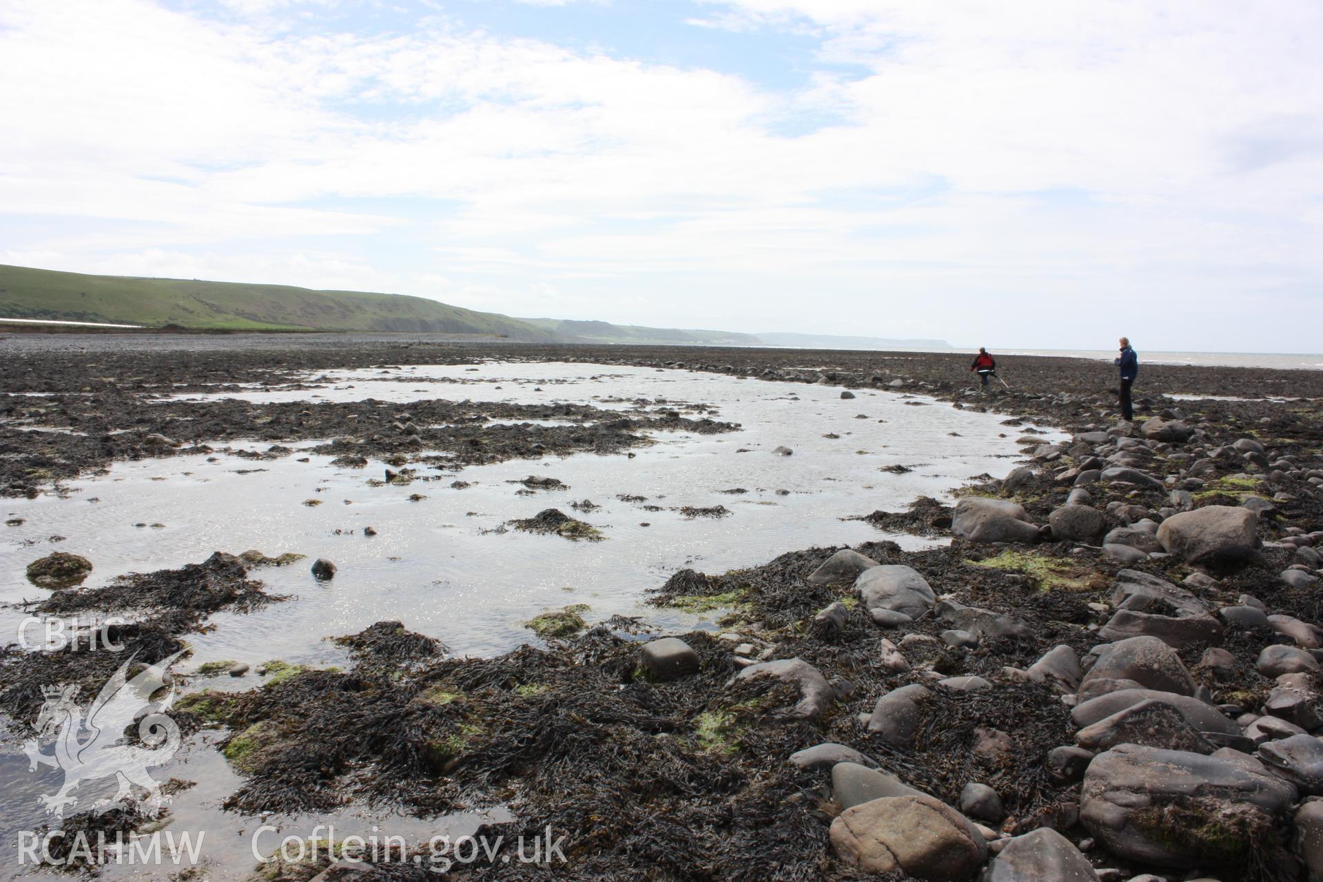 Northern section of fish trap arm, looking south. RCAHMW staff standing on stone wall comprising arm, showing scale and alignment. Shows pool of water still retained by arm of fish trap.