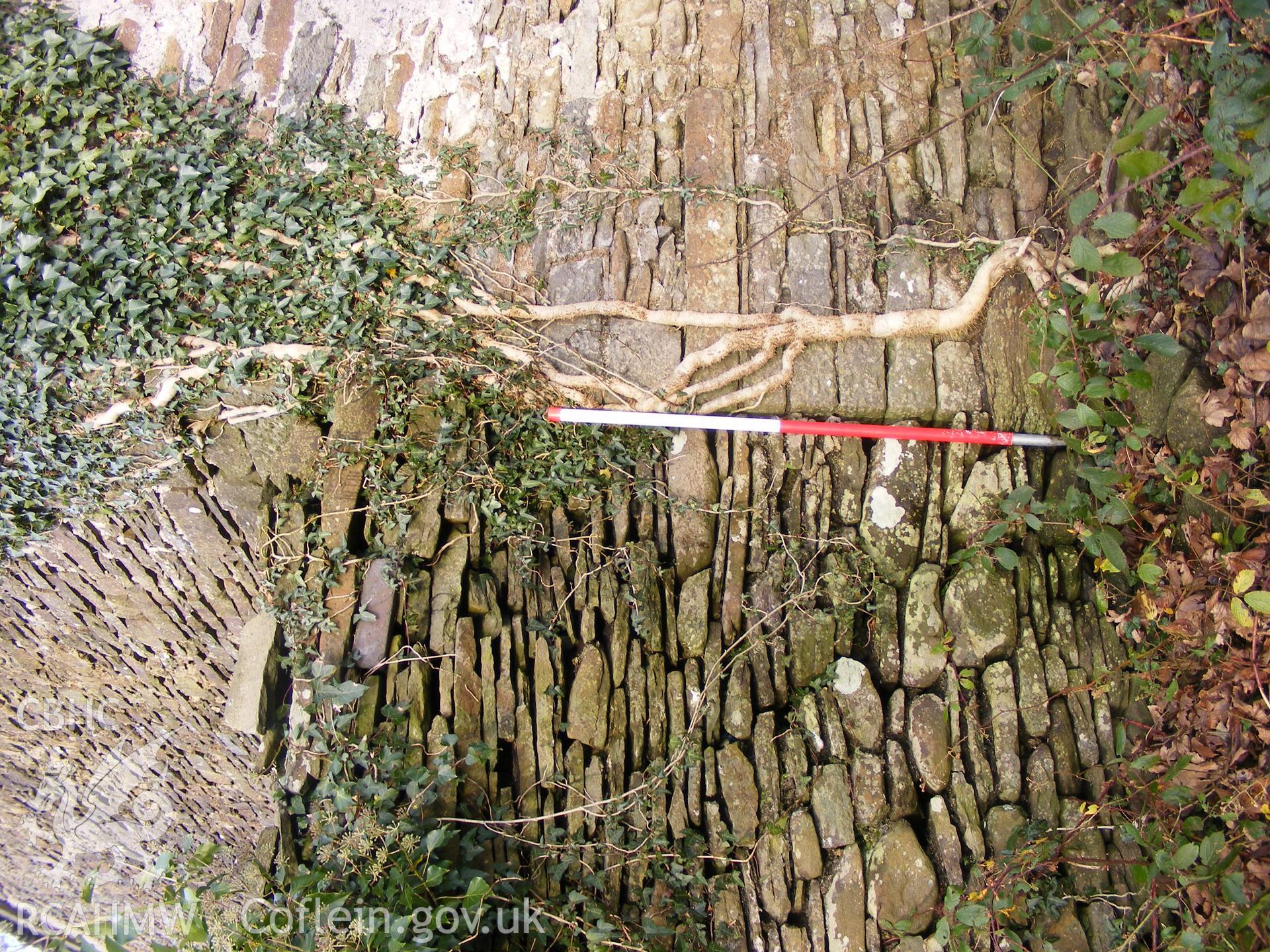 Digital photograph from an archaeological evaluation for a barn conversion and watching brief on a sheepfold at Mynachdy Farm, Ynysybwl December 2008; by S. Mayes and D. Rouse, Archaeological Investigation Ltd.