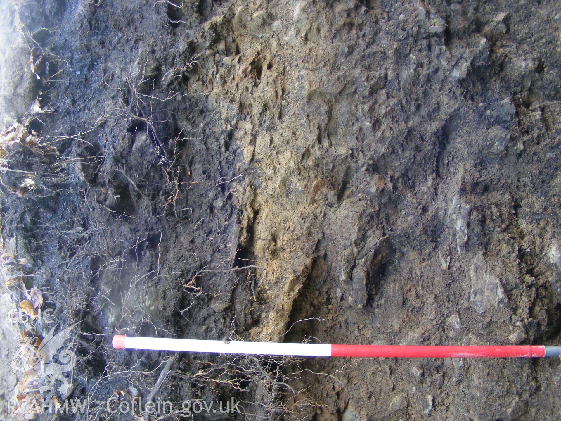 Digital photograph from an archaeological evaluation for a barn conversion and watching brief on a sheepfold at Mynachdy Farm, Ynysybwl December 2008; by S. Mayes and D. Rouse, Archaeological Investigation Ltd.