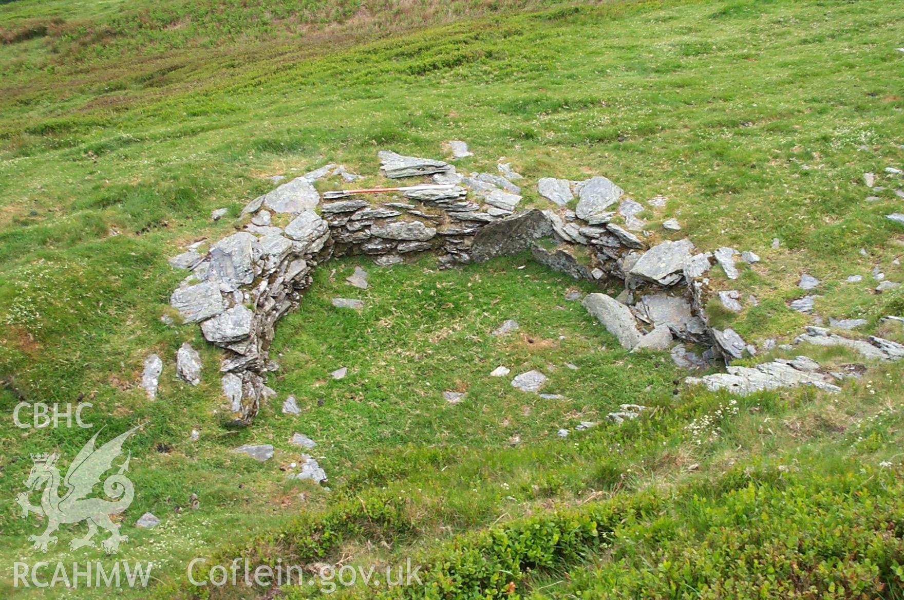 Digital photograph of Pont-y-teiryd Settlement Features taken on 03/03/2000 by Oxford Archaeology North during the Dyffryn Tanat Upland Survey