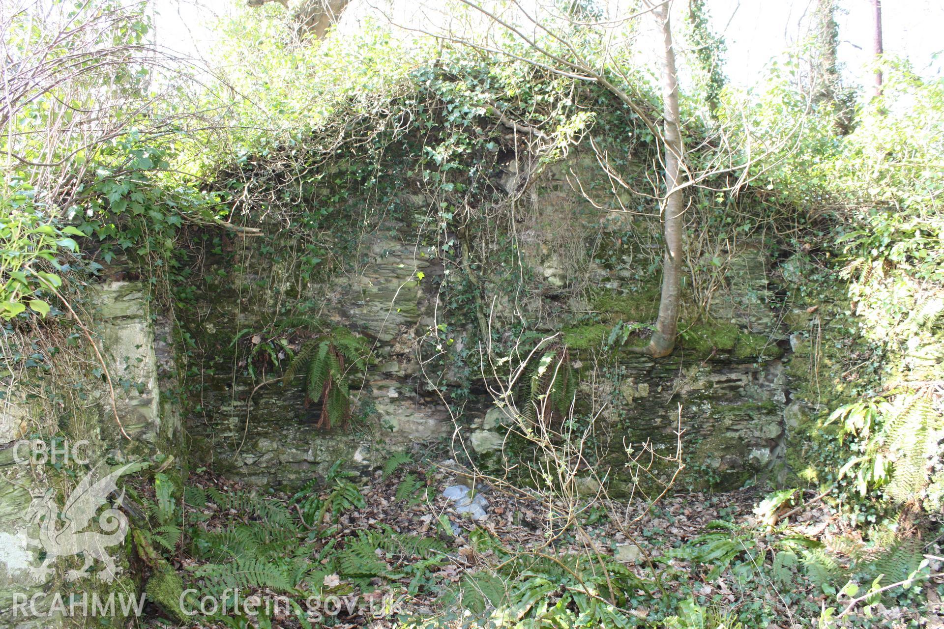 Nevern Castle and Pwll y Broga cottage, May 2010. Internal west gable end of the cottage.