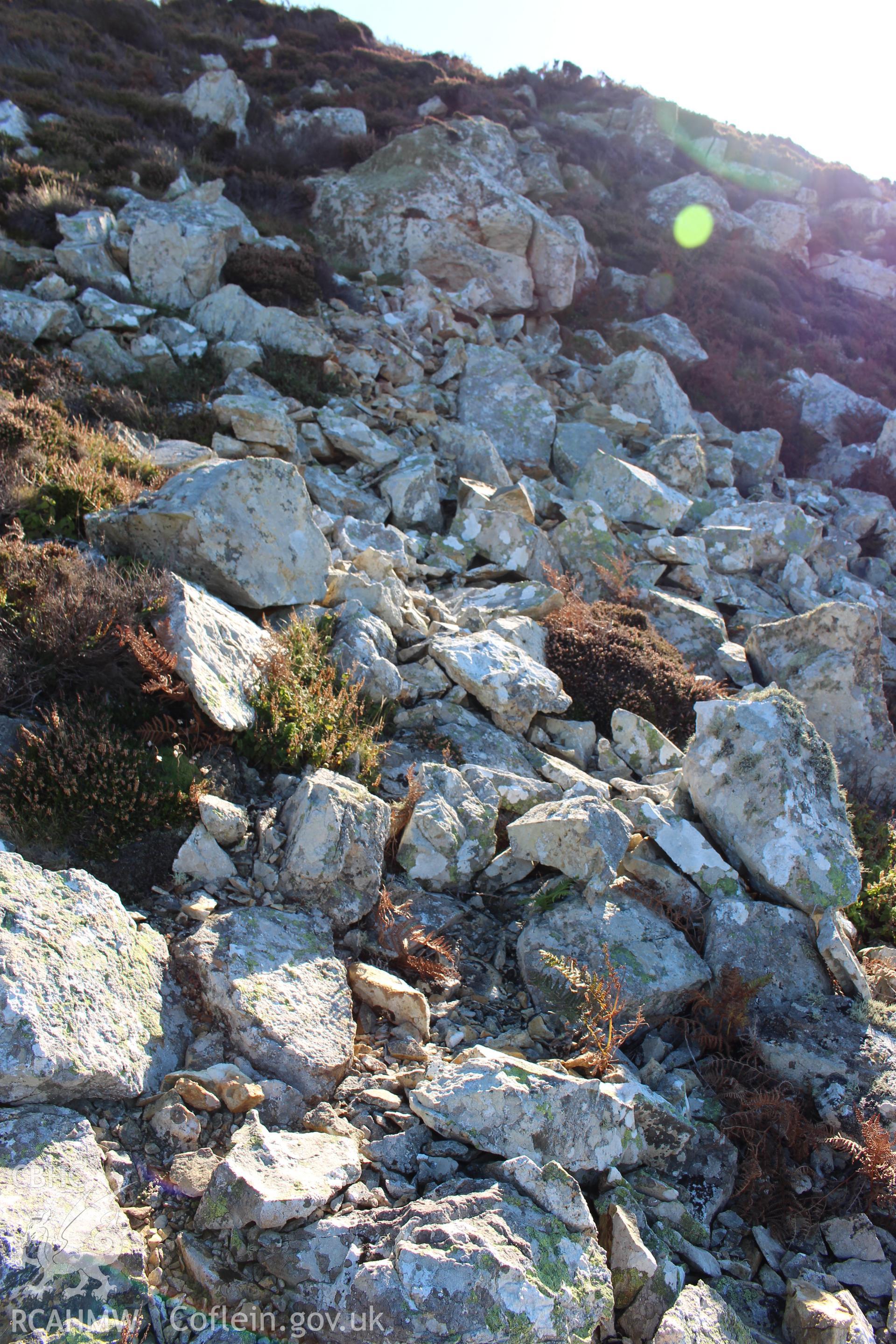 Foel Fawr Stone Implement Working Site. View looking eact across flaking floor.