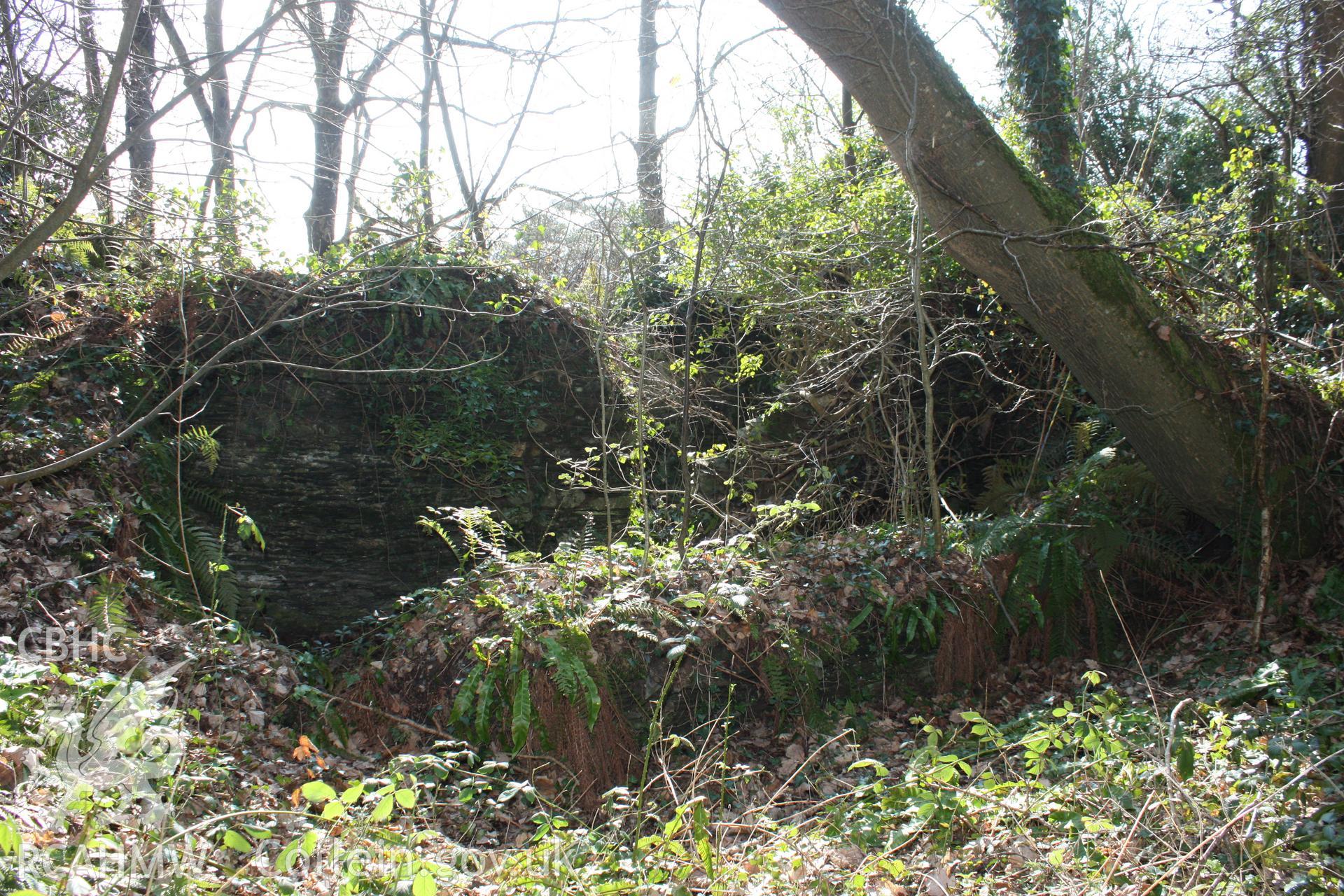 Nevern Castle and Pwll y Broga cottage, May 2010. Annexe attached to rear (north) side of the cottage.