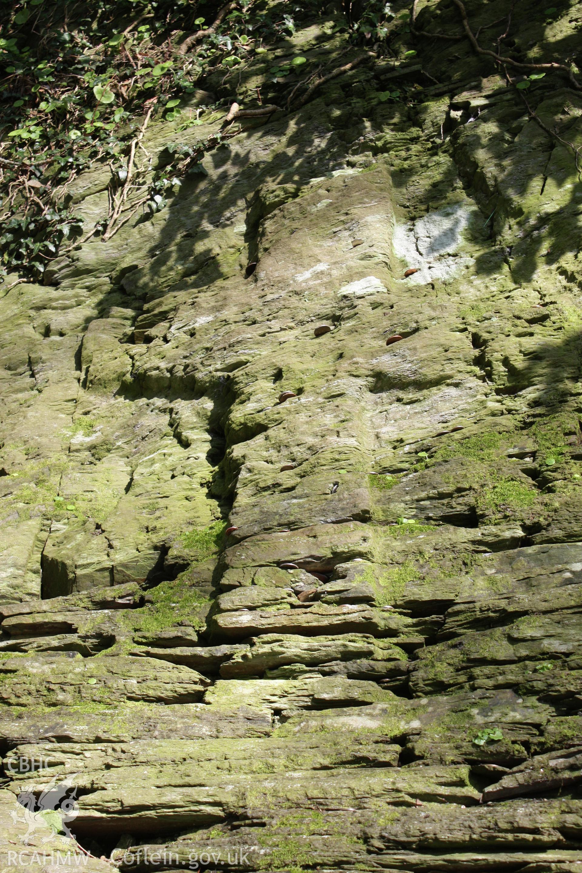 Rock Cross, Nevern. Detail of cross.