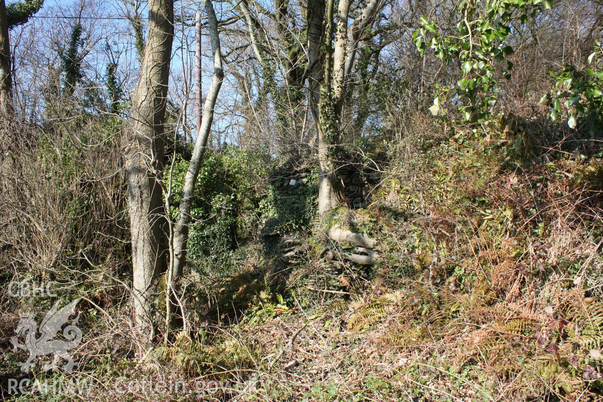 Nevern Castle and Pwll y broga cottage, May 2010. View from the south to Pwll y broga cottage in the outer west ditch of the castle.