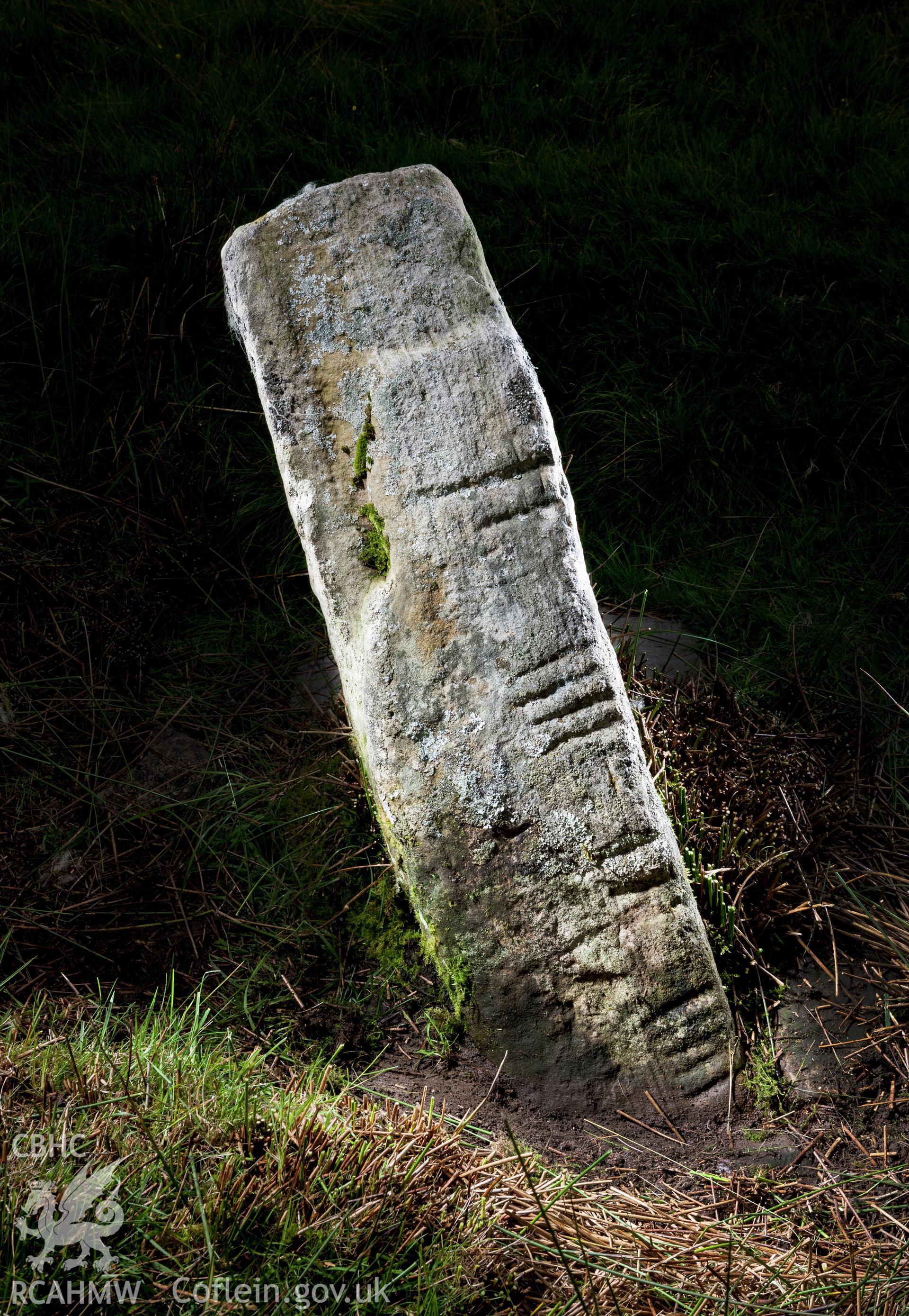 View from the west, dark ground