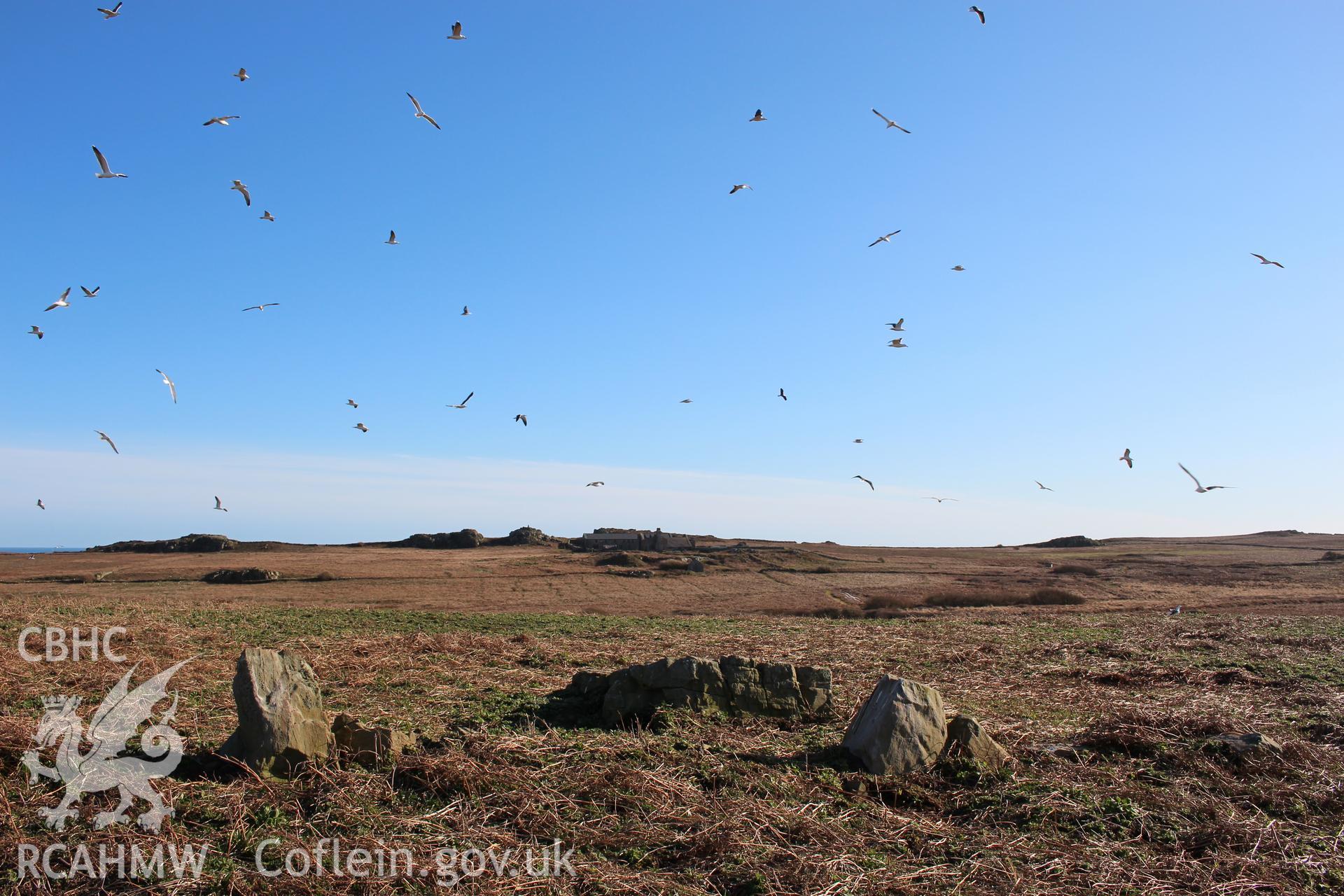 SUB-MEGALITHIC SITE NEAR TO NORTH STREAM, SKOMER ISLAND, view from north