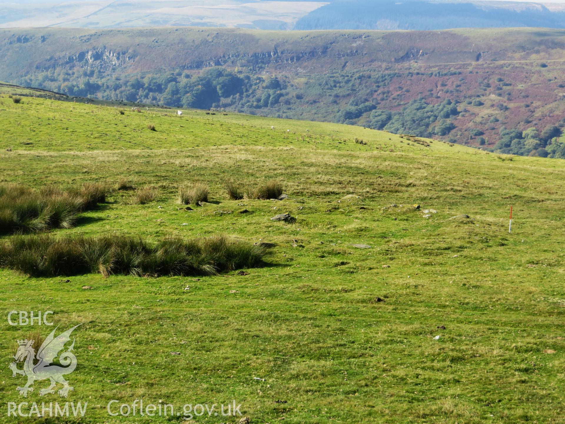 View of ring cairn from higher ground to the east.