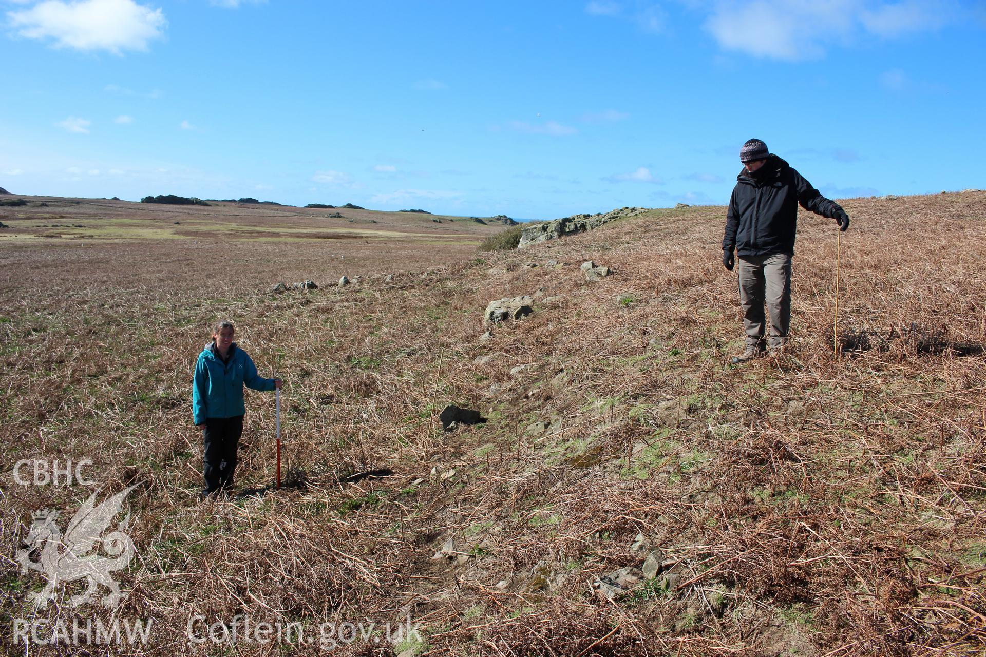 Skomer Island, excavation of a prehistoric lynchet associated with the North Stream Settlement 2016, pre-excavation view from east