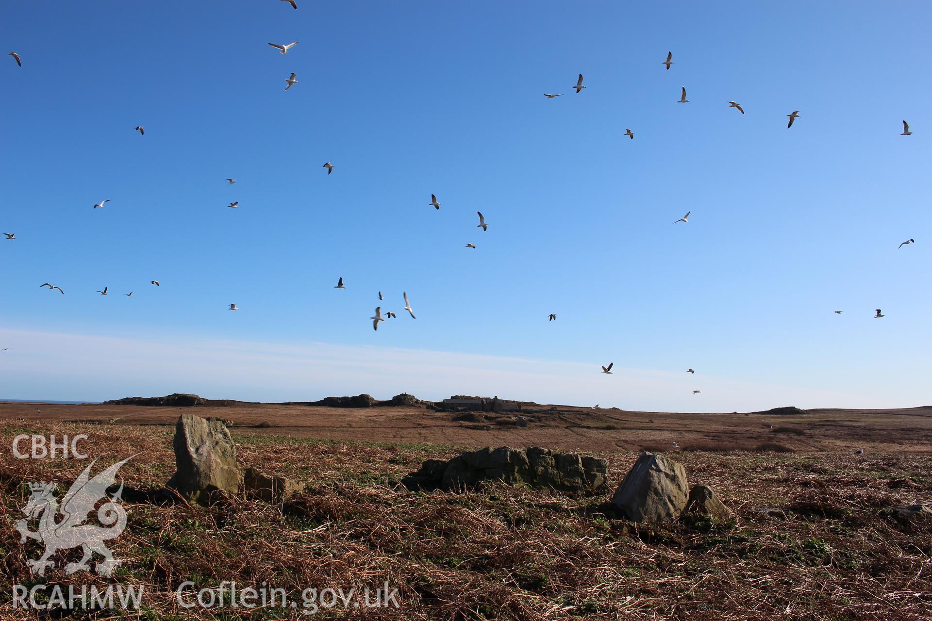 SUB-MEGALITHIC SITE NEAR TO NORTH STREAM, SKOMER ISLAND, view from north