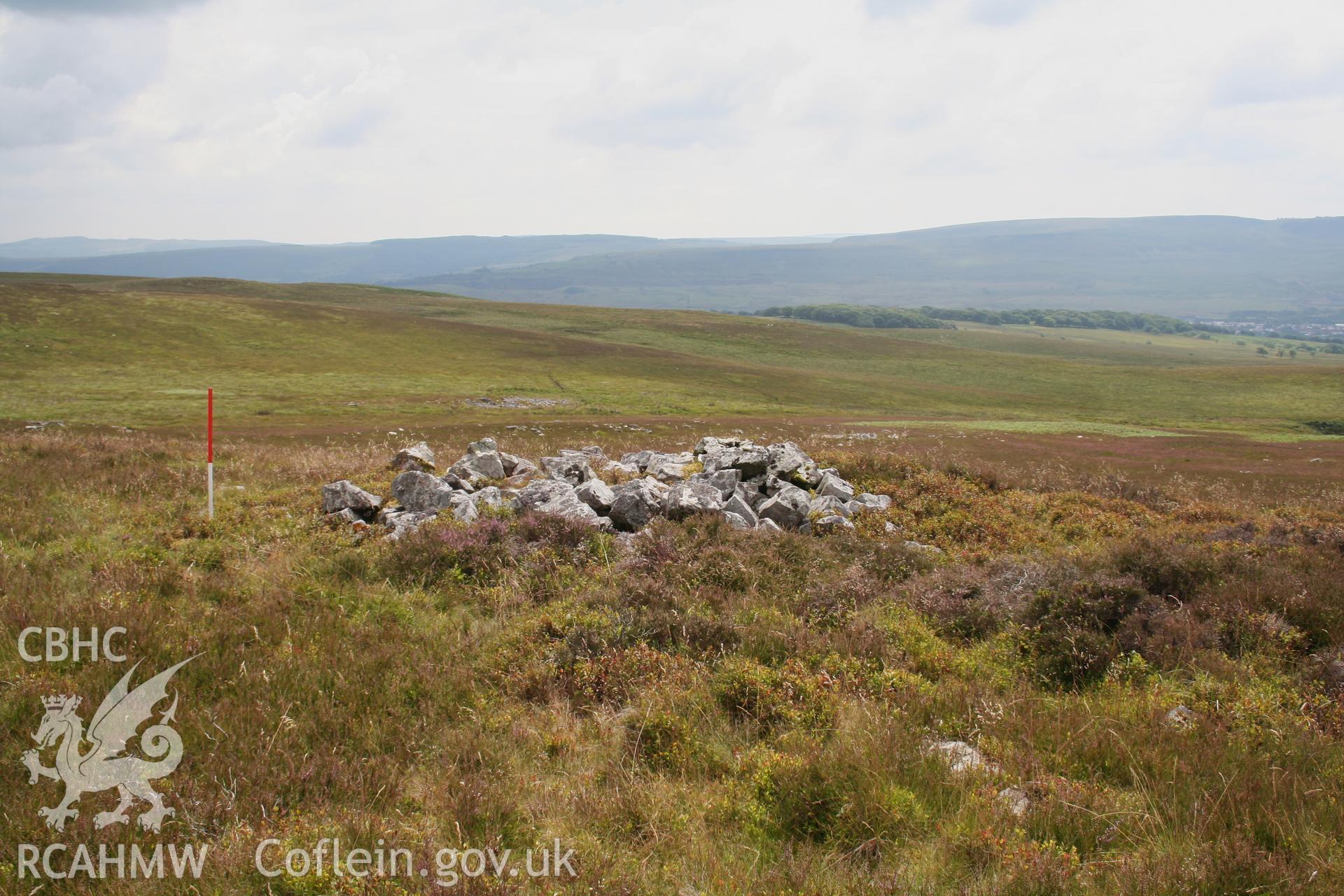 View of cairn from the north; 1m scale.