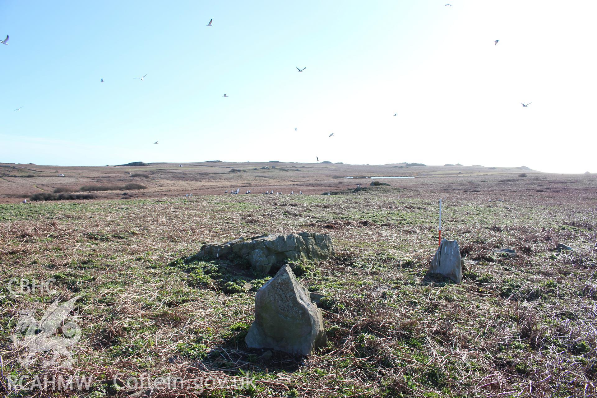 SUB-MEGALITHIC SITE NEAR TO NORTH STREAM, SKOMER ISLAND, view from north-east