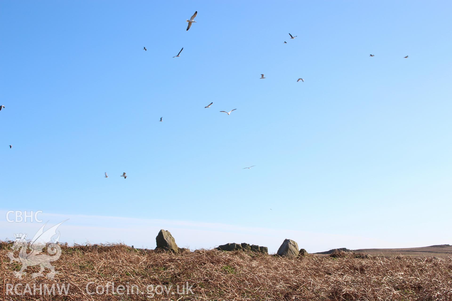 SUB-MEGALITHIC SITE NEAR TO NORTH STREAM, SKOMER ISLAND, view from north