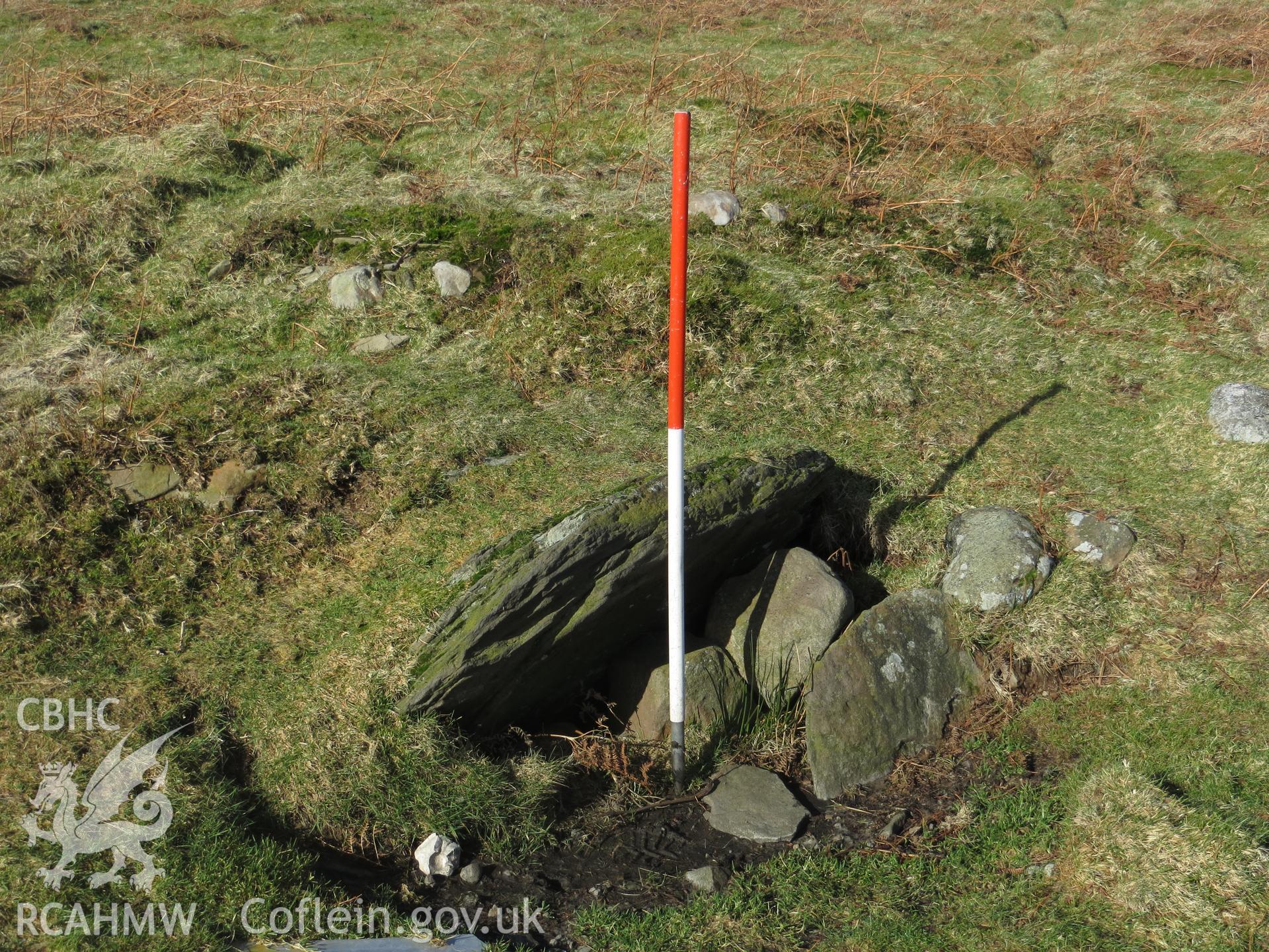 Site of cist; 1m scale.