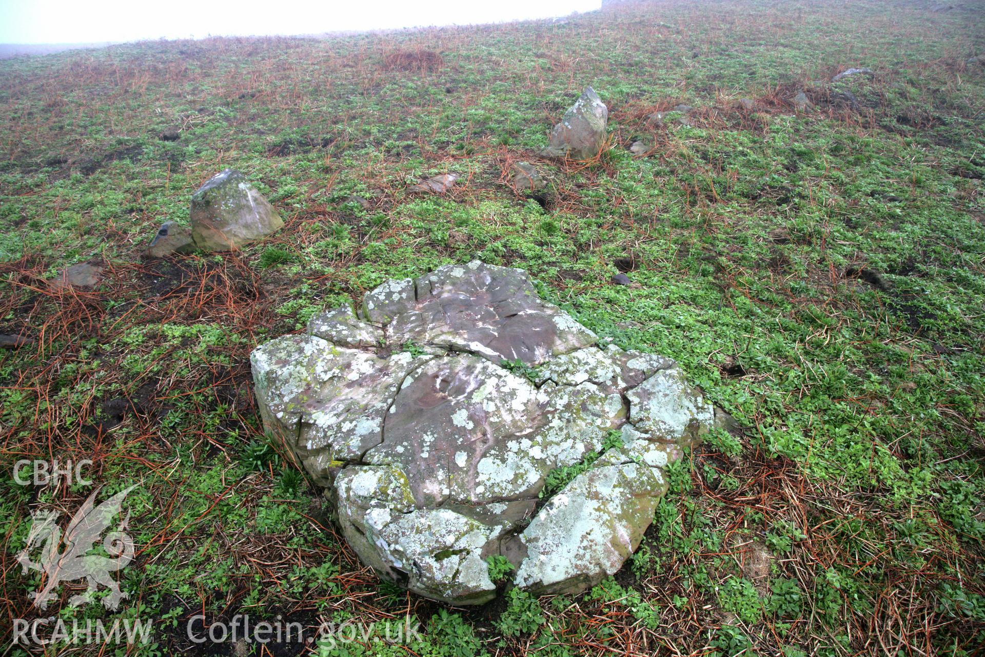 SUB-MEGALITHIC SITE NEAR TO NORTH STREAM, SKOMER ISLAND, view looking north-east