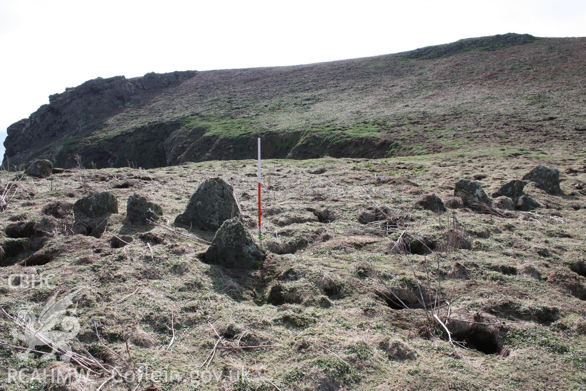 THE CHURCHYARD, SKOMER ISLAND, view of western part looking west, 1m scale