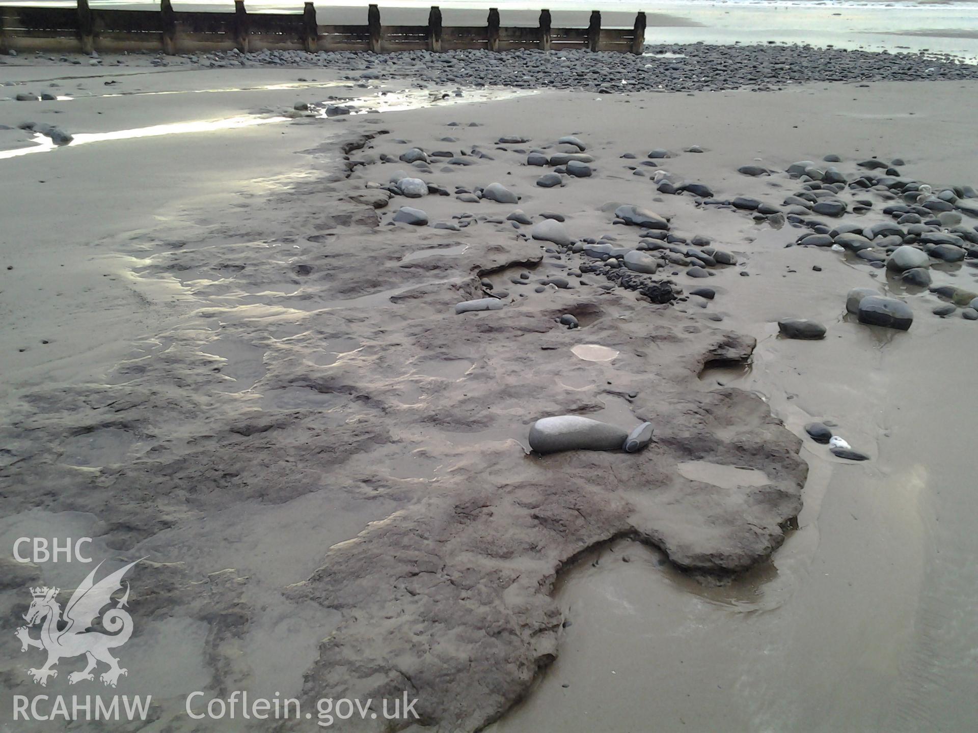 Peat deposits.